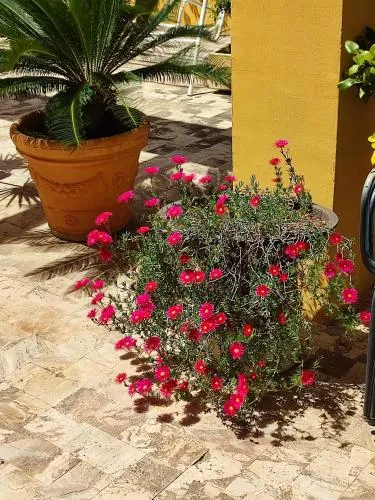 B&B Sant'Eufemia
