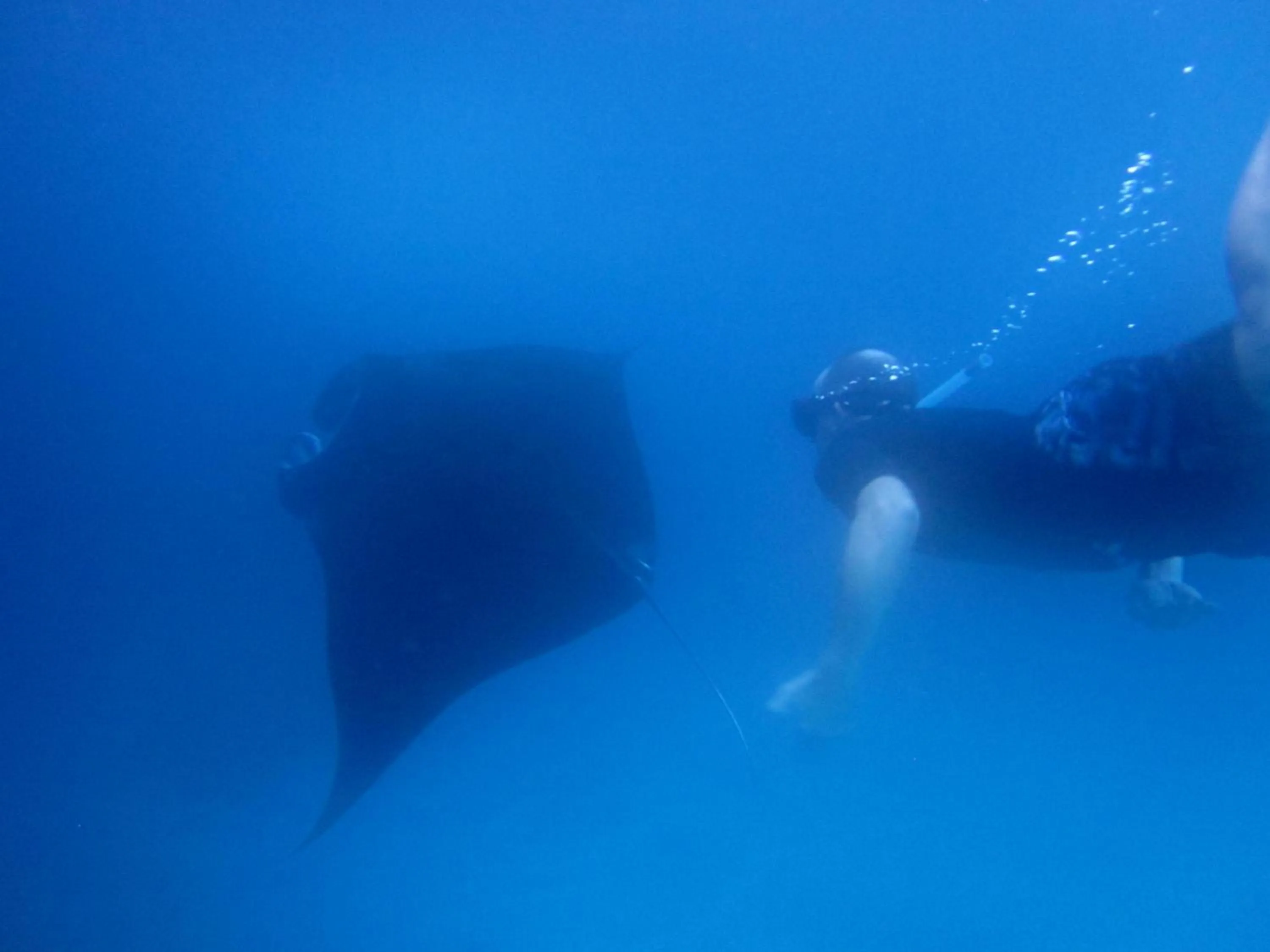 People in Dinatah Lembongan Villas