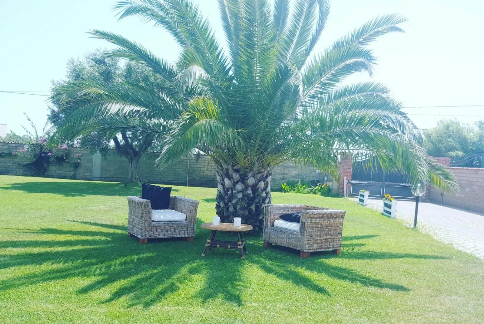 Garden in Villa Elegance