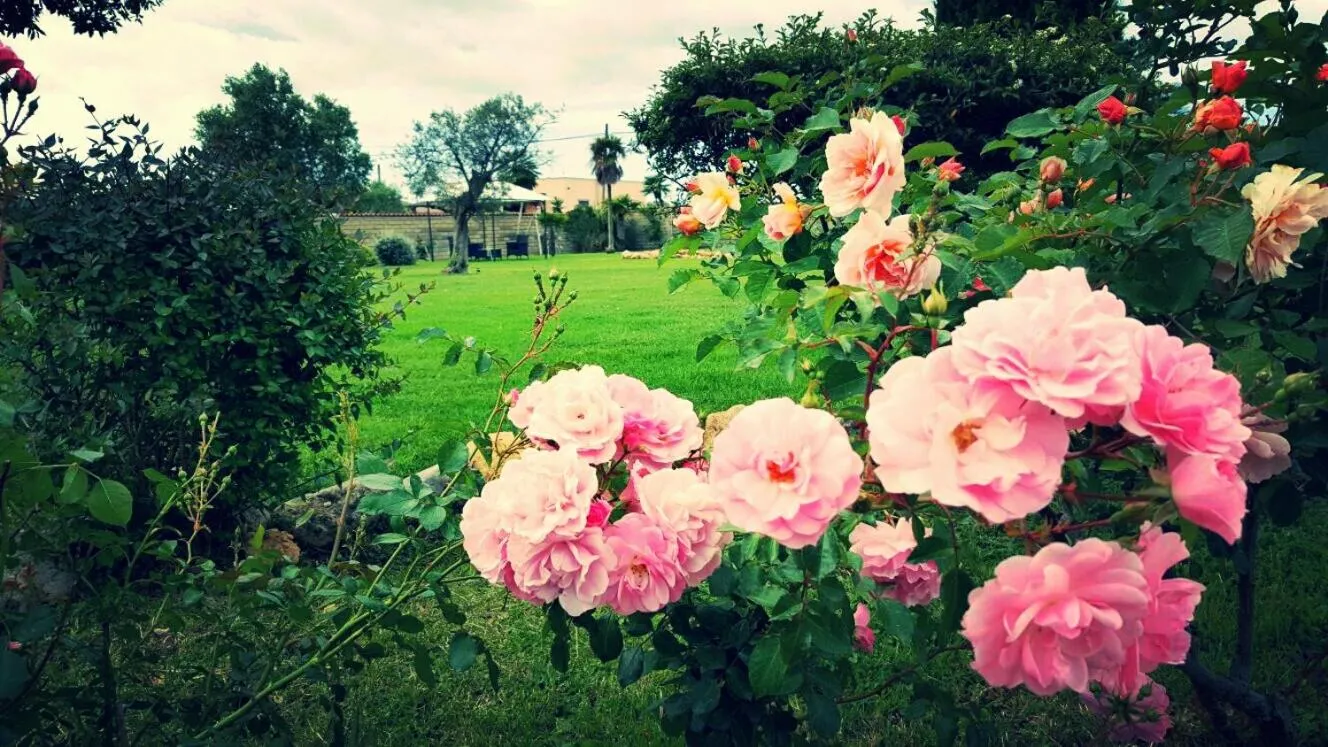 Garden in Villa Elegance