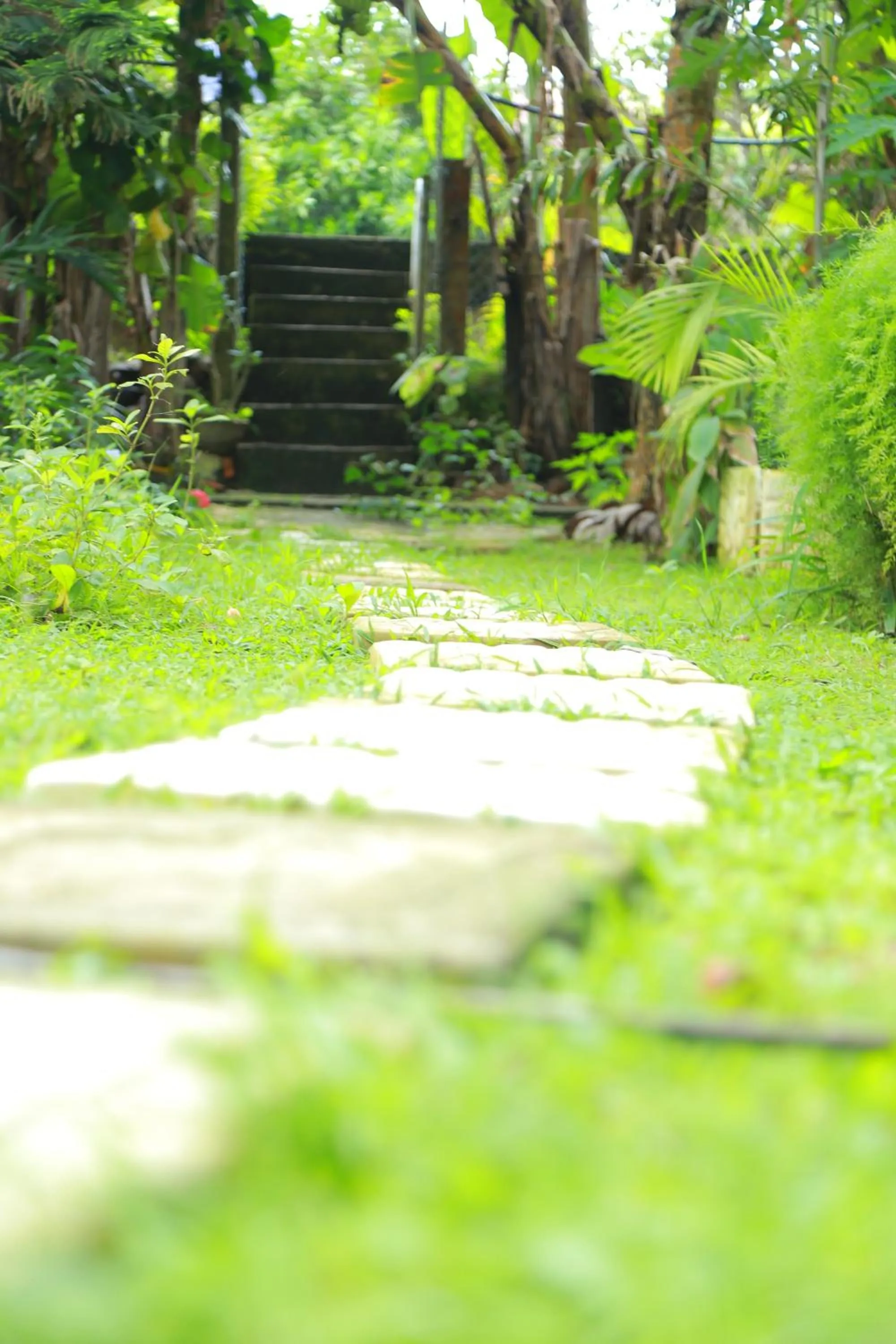 Garden in Osanda Guest