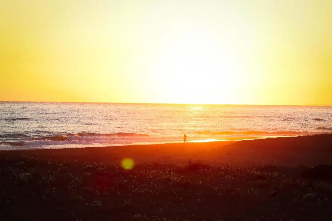 Natural landscape in Athina Hotel
