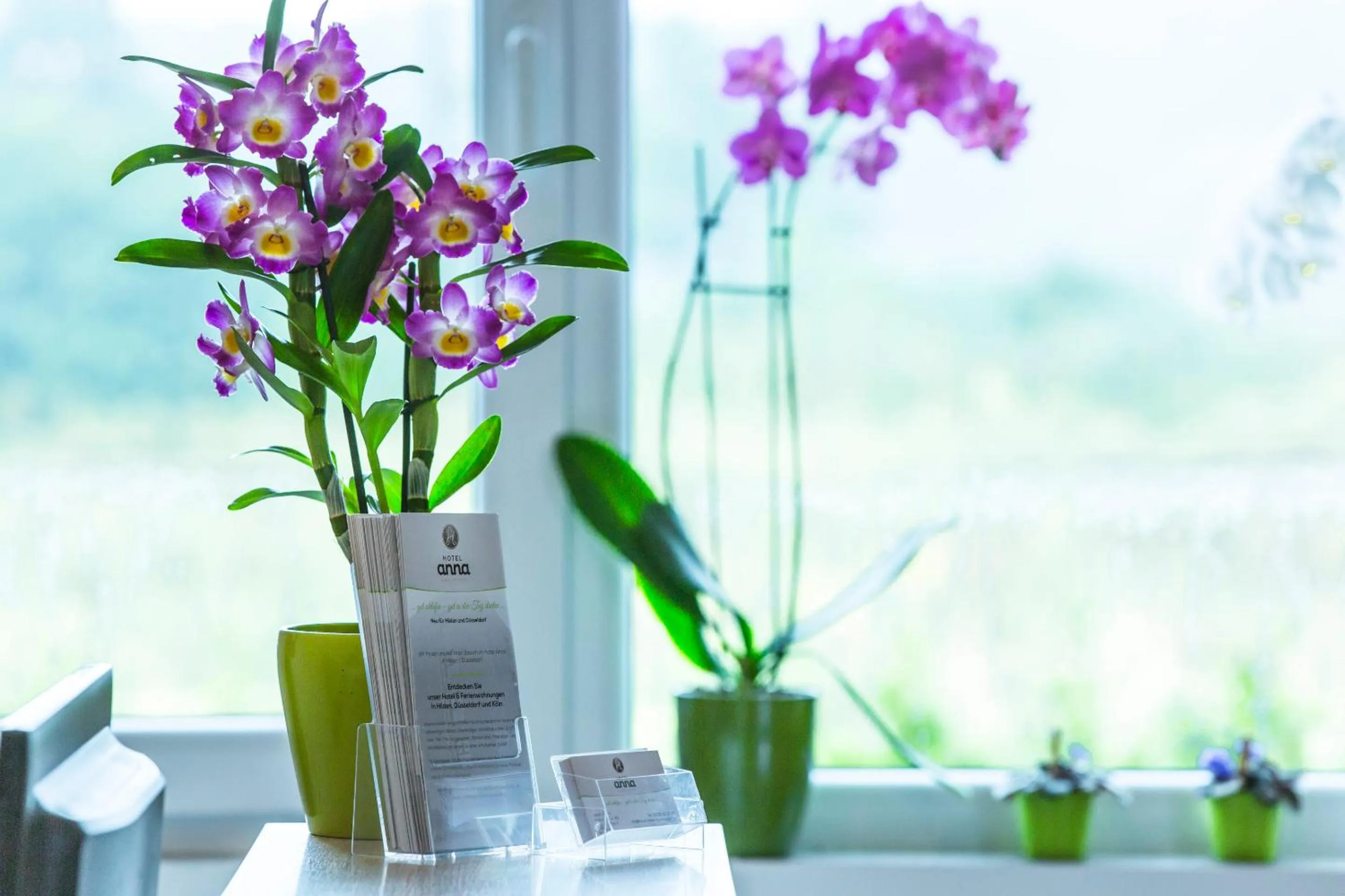 Lobby or reception in Hotel ANNA - Düsseldorf - Hilden