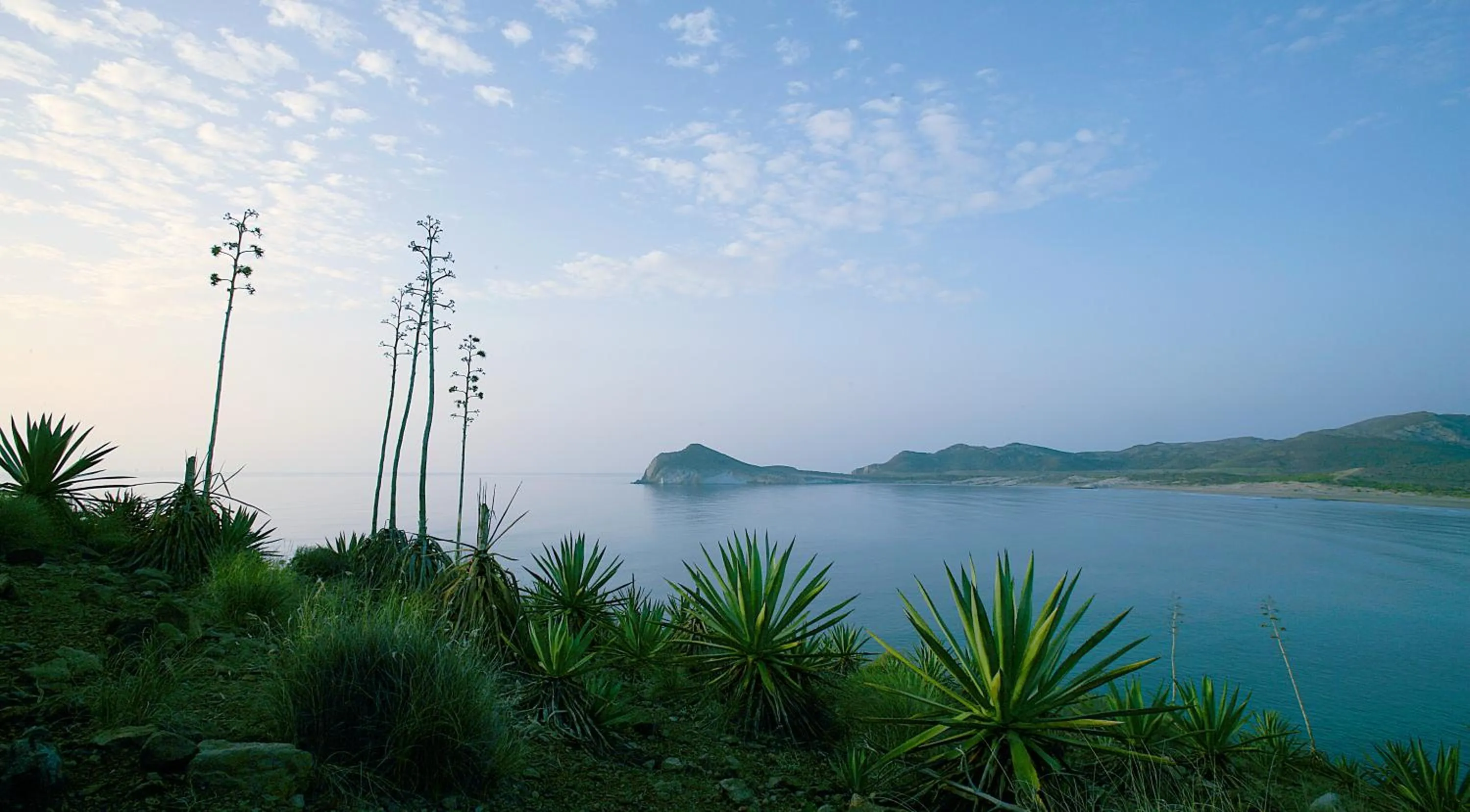 Area and facilities in Doña Pakyta