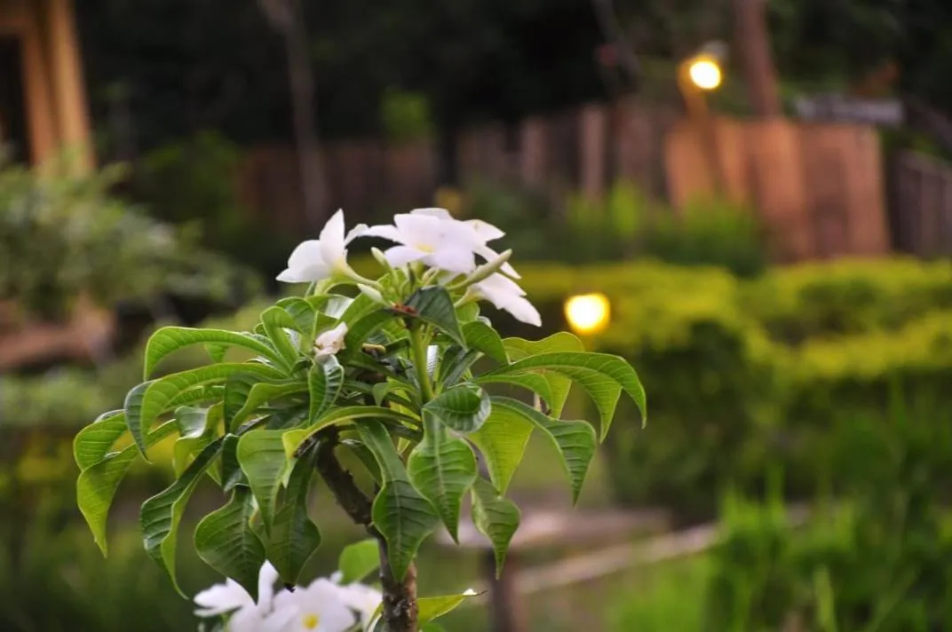 Pondok Guru Bakti Cottage