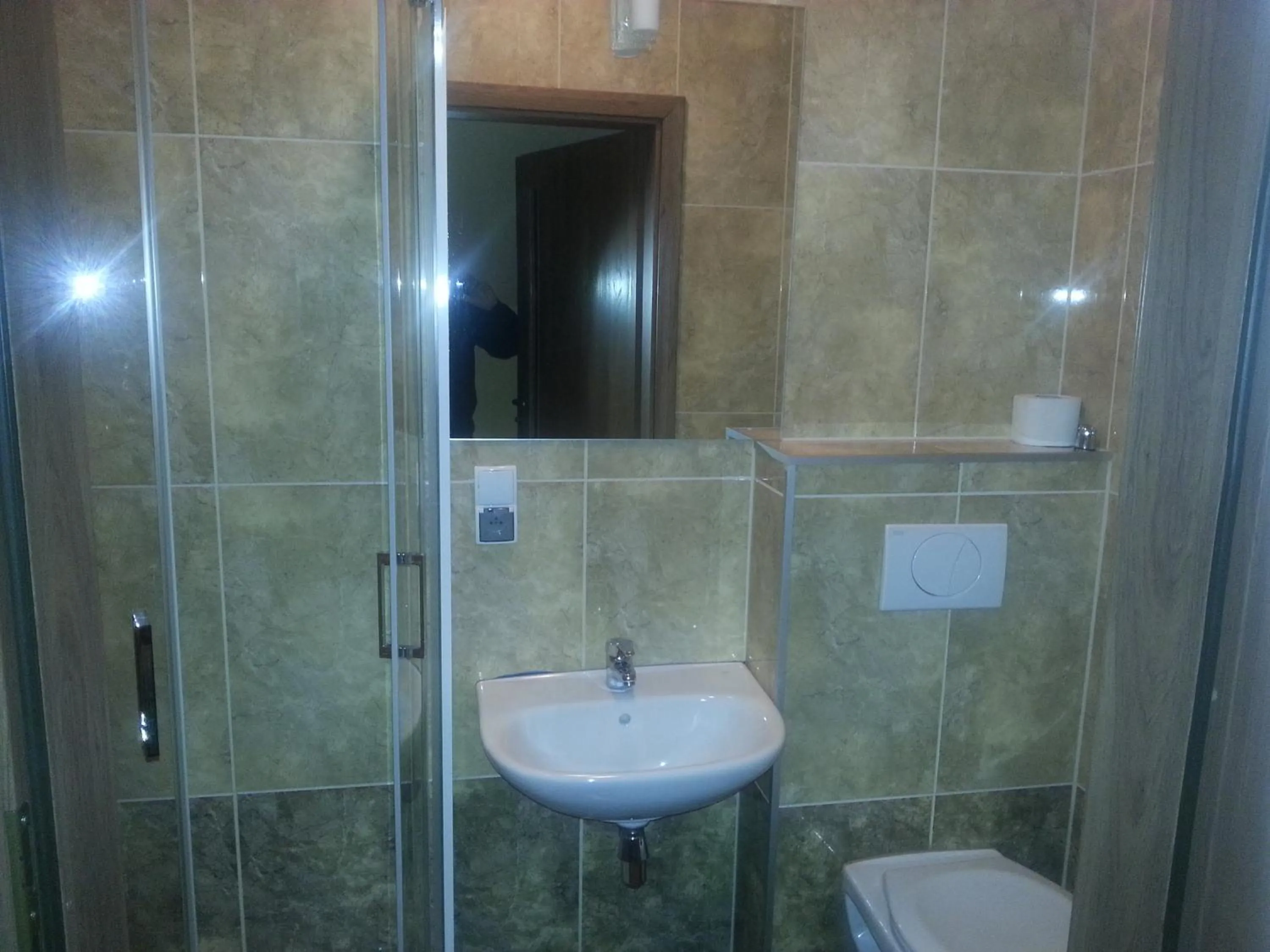 Bathroom in Pensjonat Lew Jaskiniowy