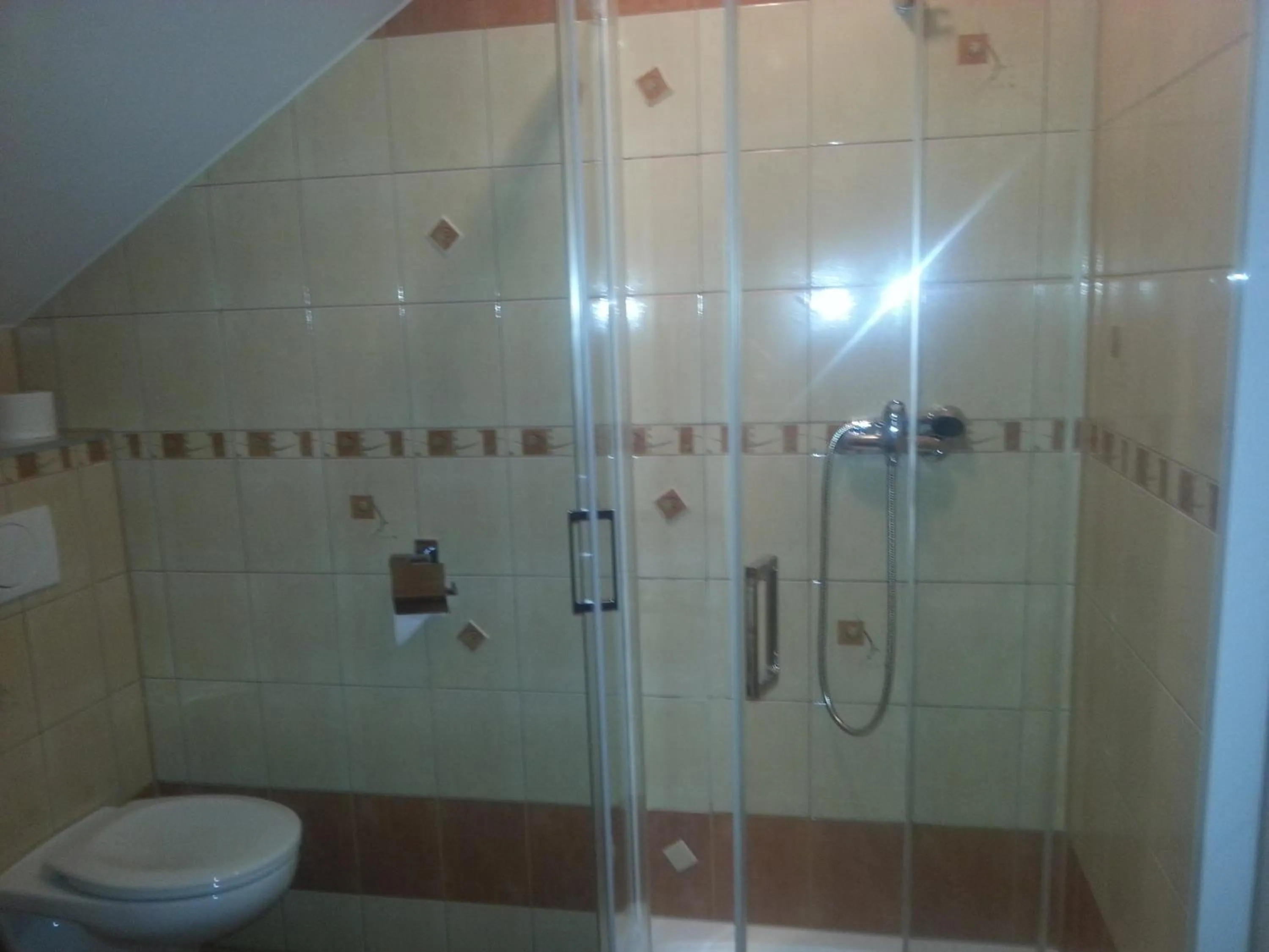 Bathroom in Pensjonat Lew Jaskiniowy