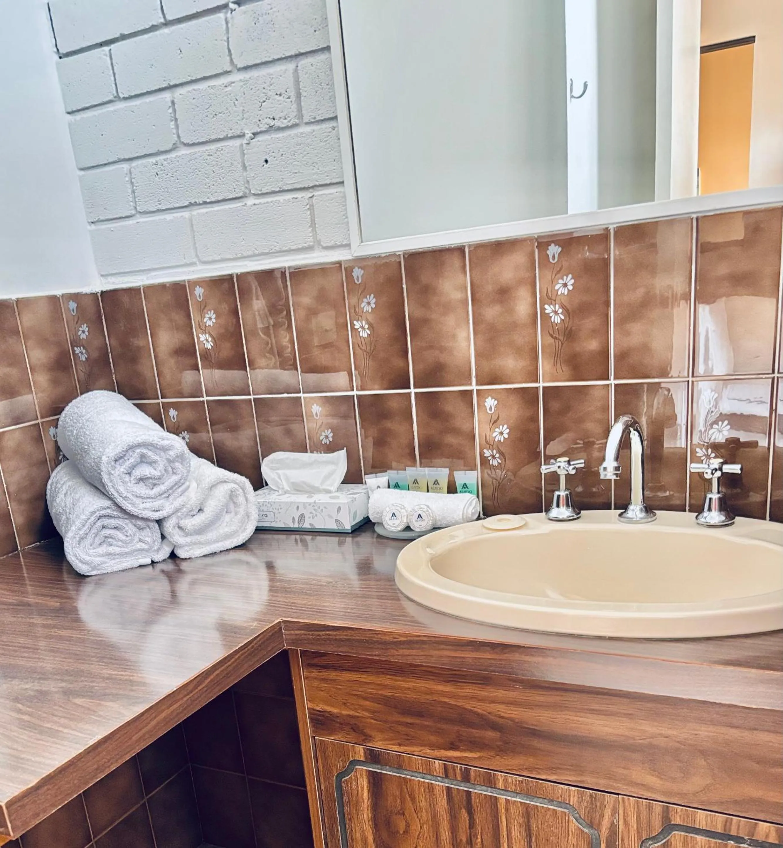 Bathroom in Bakery Park Motor Inn