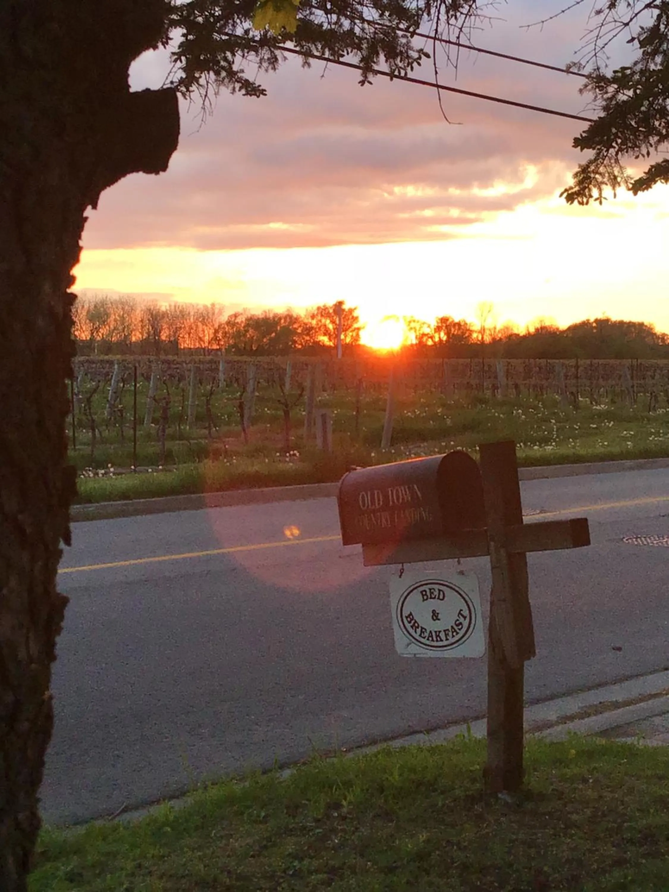 Sunset in Old Town Country Landing