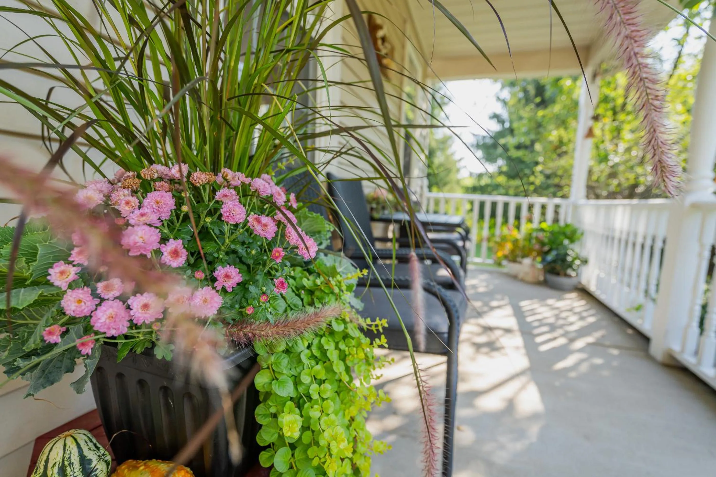 Garden in Old Town Country Landing