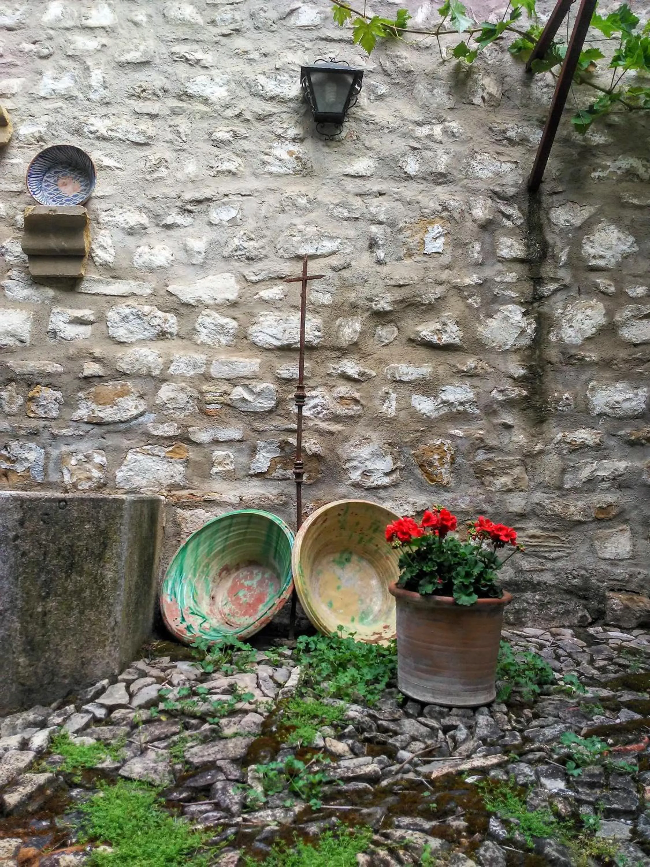 Garden in Hotel Ordóñez Sandoval