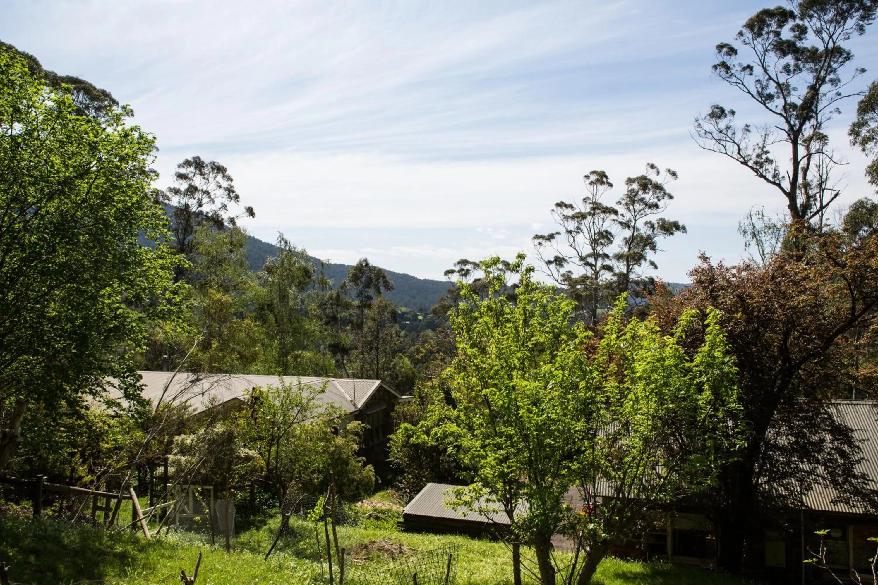 Garden in Buttercup Hill