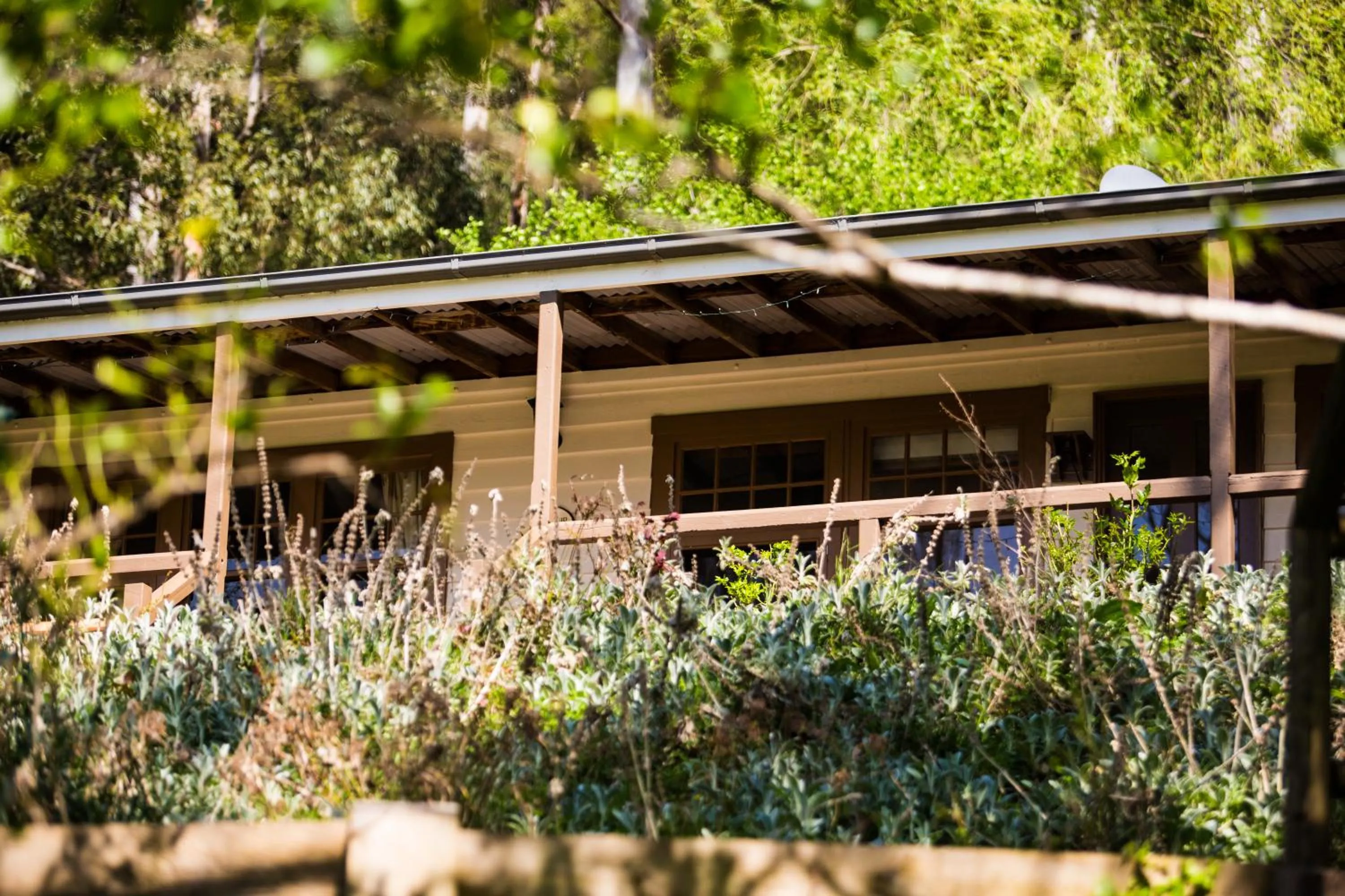 Garden in Buttercup Hill