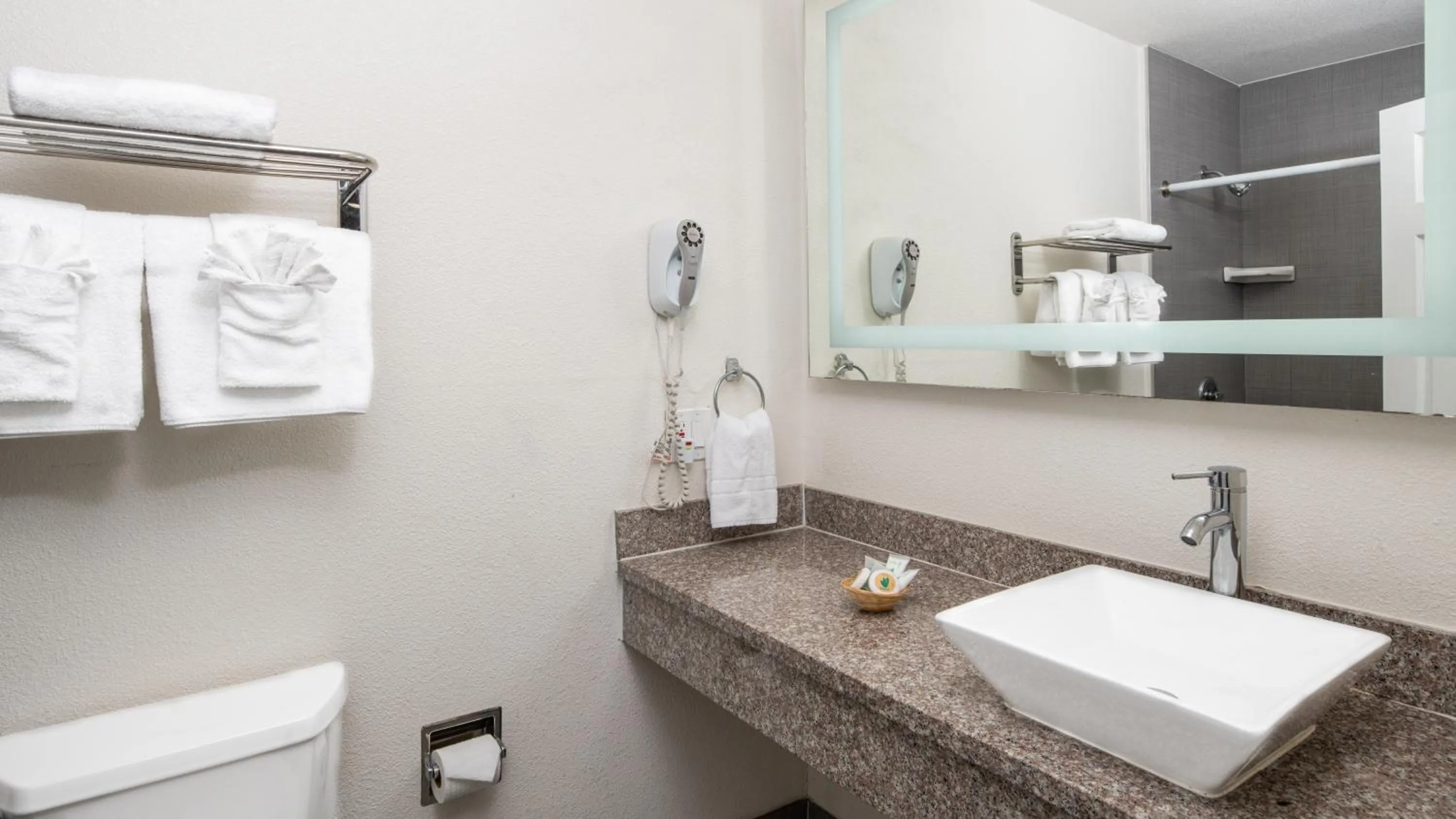 Toilet in Scandia Motel