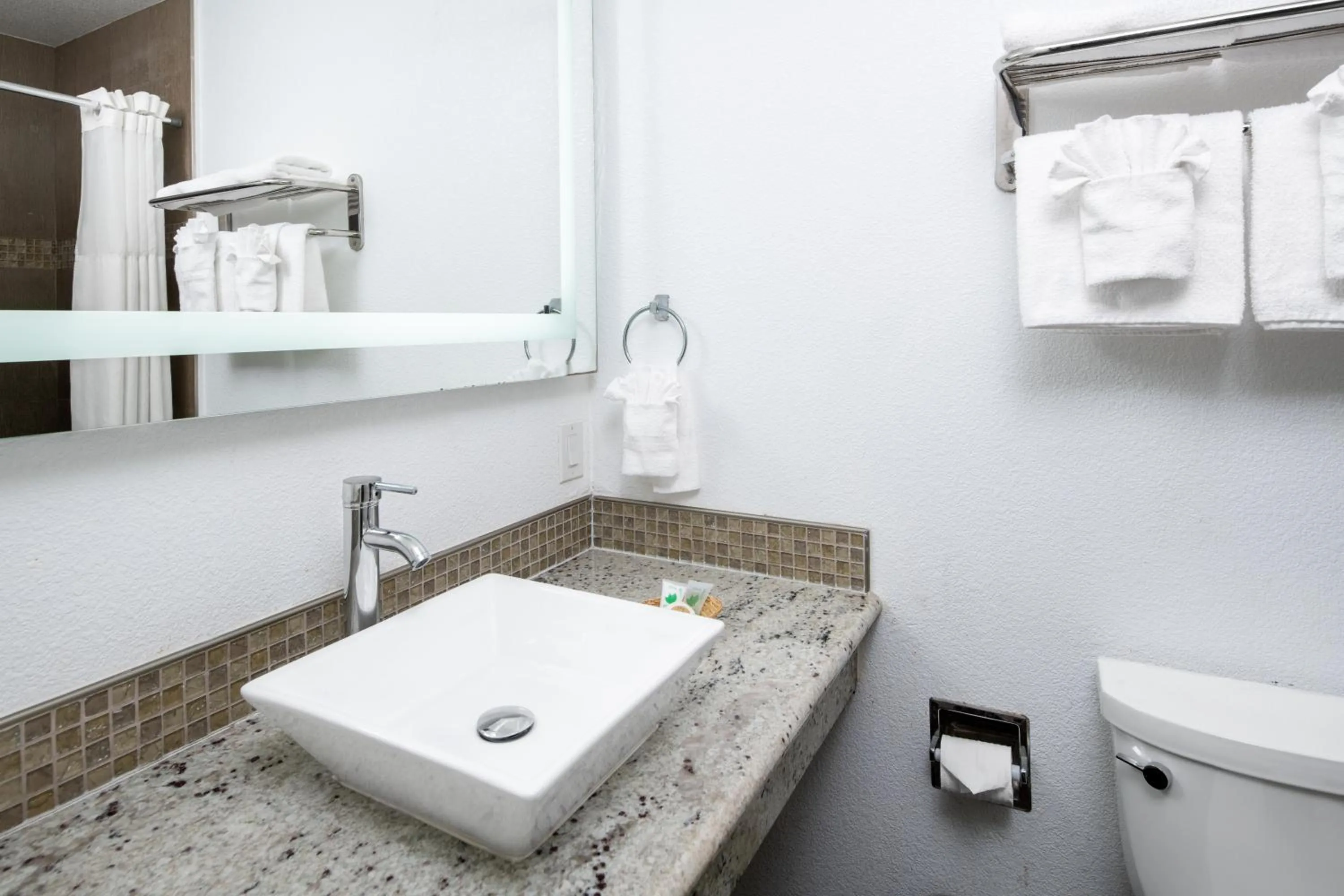 Toilet in Scandia Motel