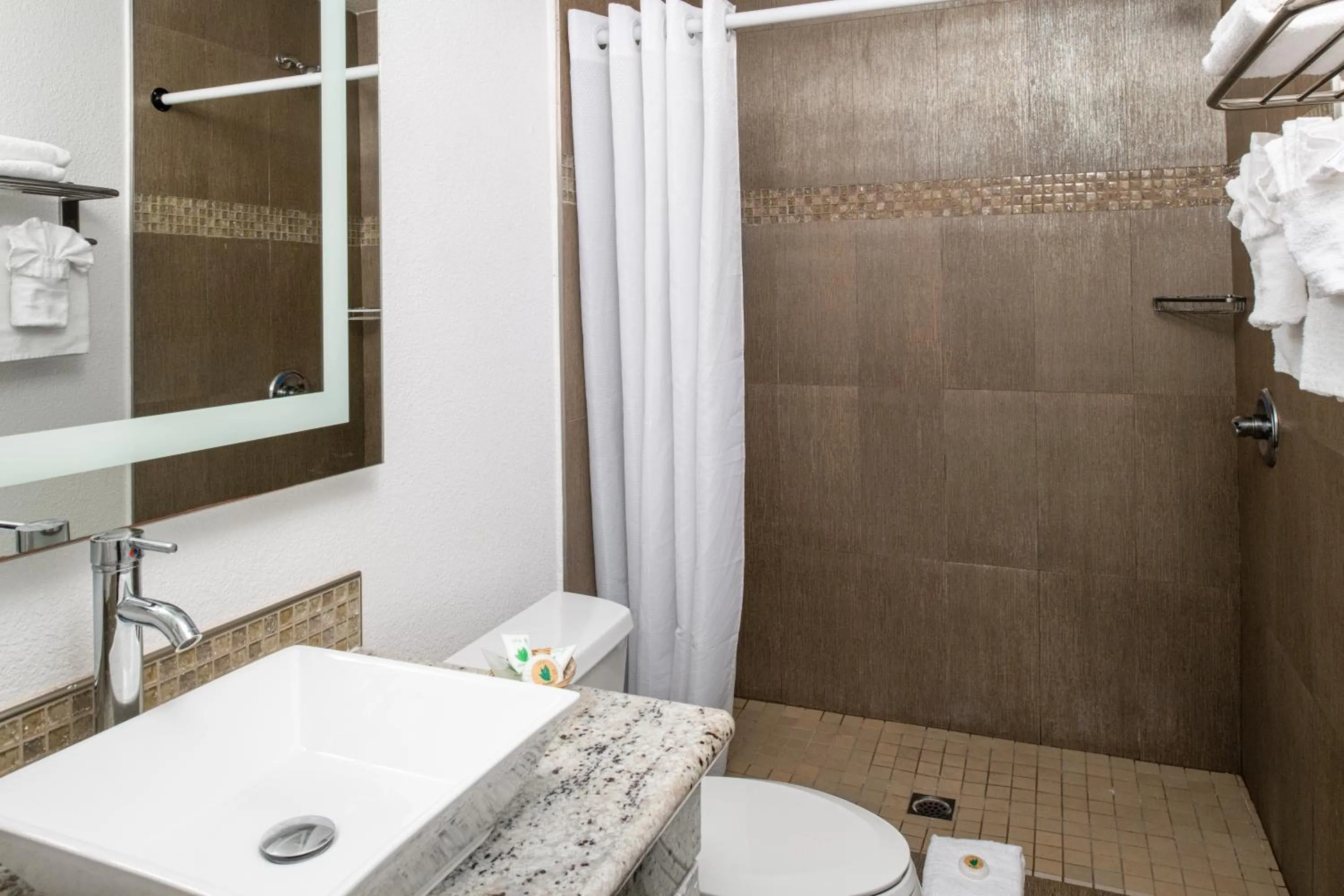 Shower in Scandia Motel