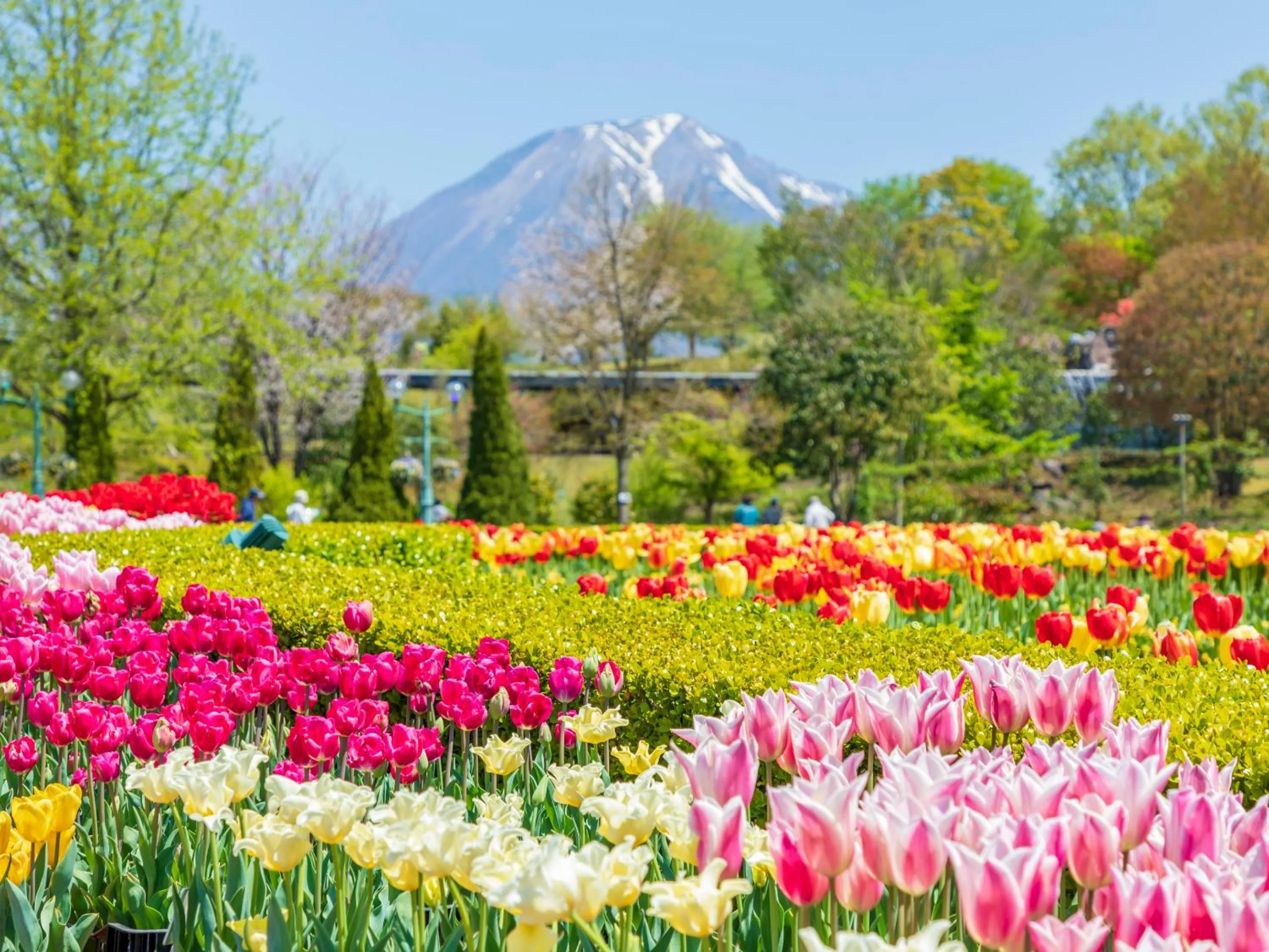 Nearby landmark in Ooedo Onsen Monogatari Kaike