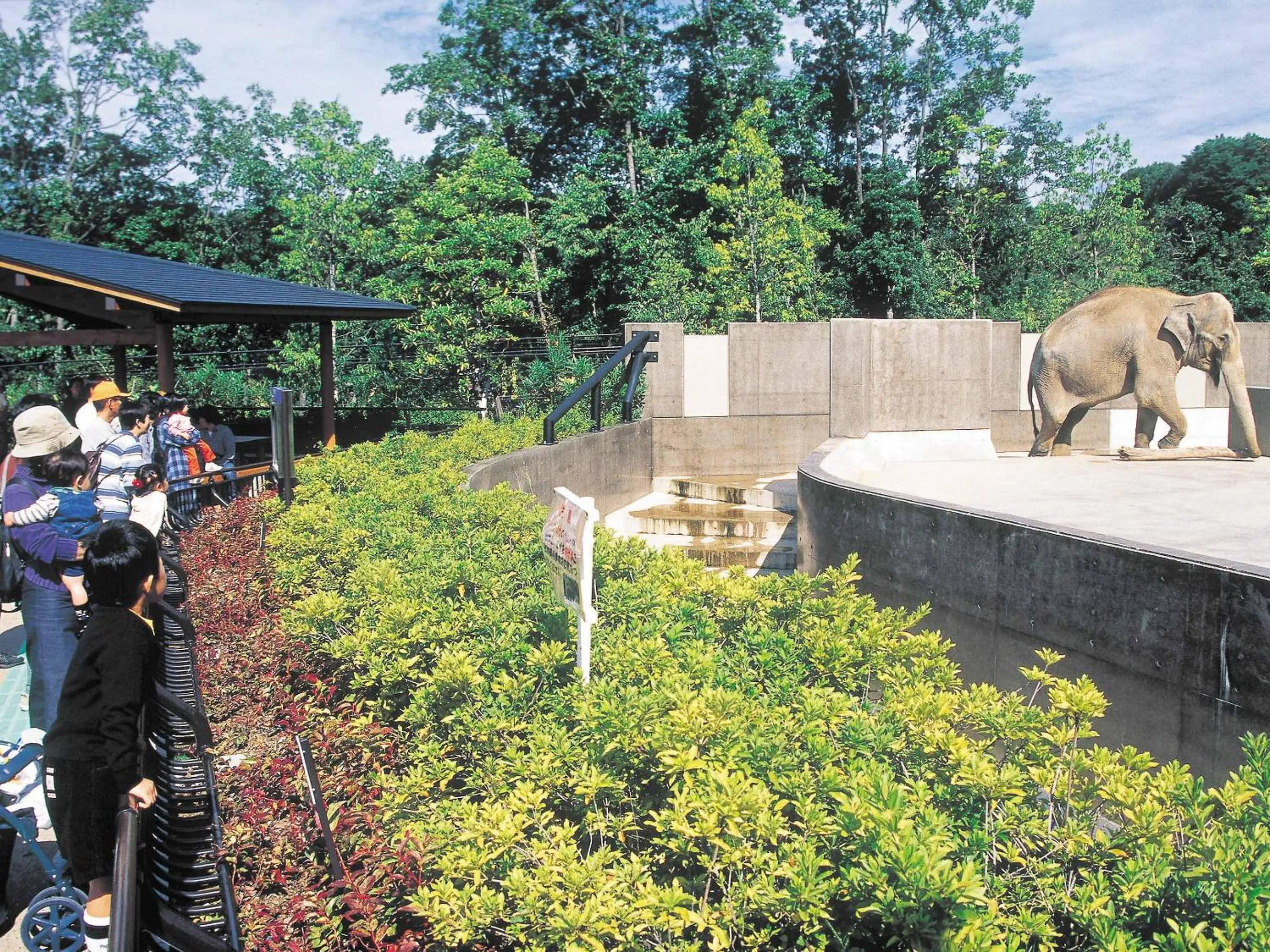 Nearby landmark in Ooedo Onsen Monogatari Yamashiro Saichoraku