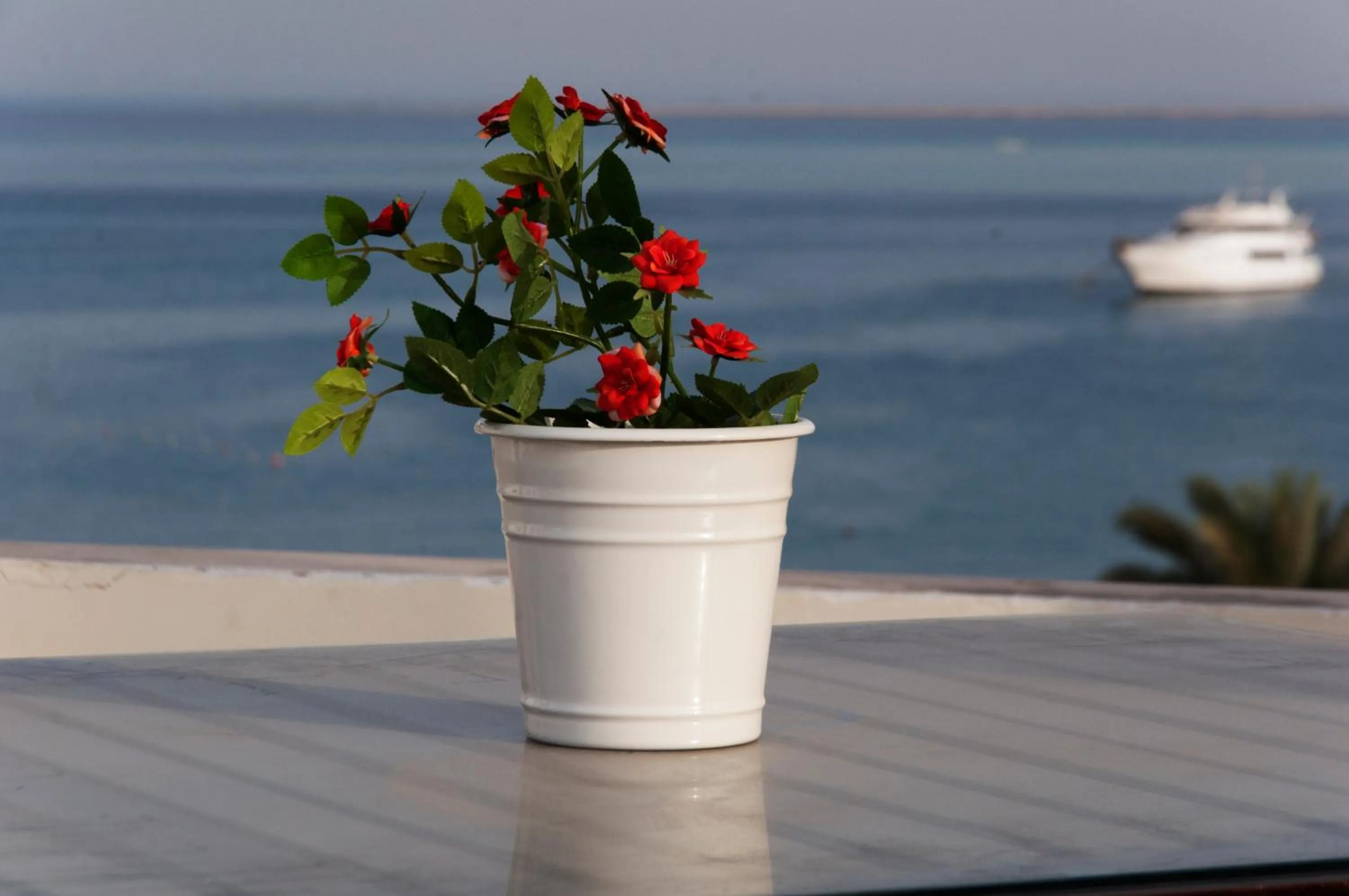 Day in Elaria Hotel Hurgada