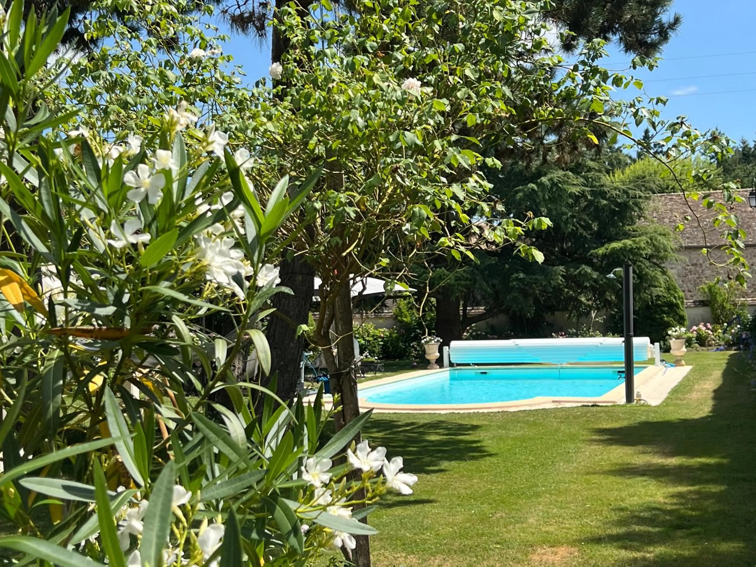 Swimming pool in Les Prémices De La Forêt