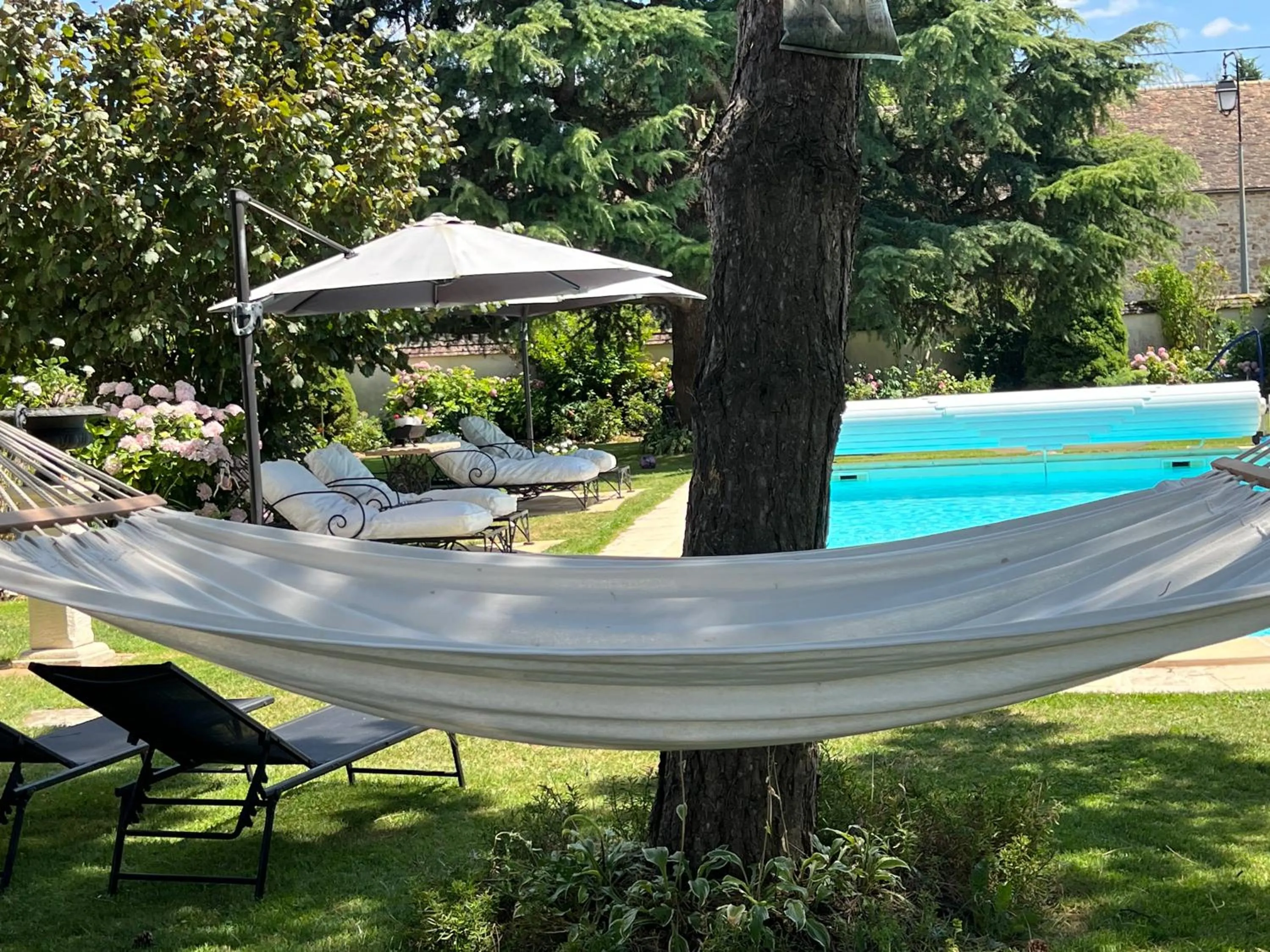 Swimming pool in Les Prémices De La Forêt