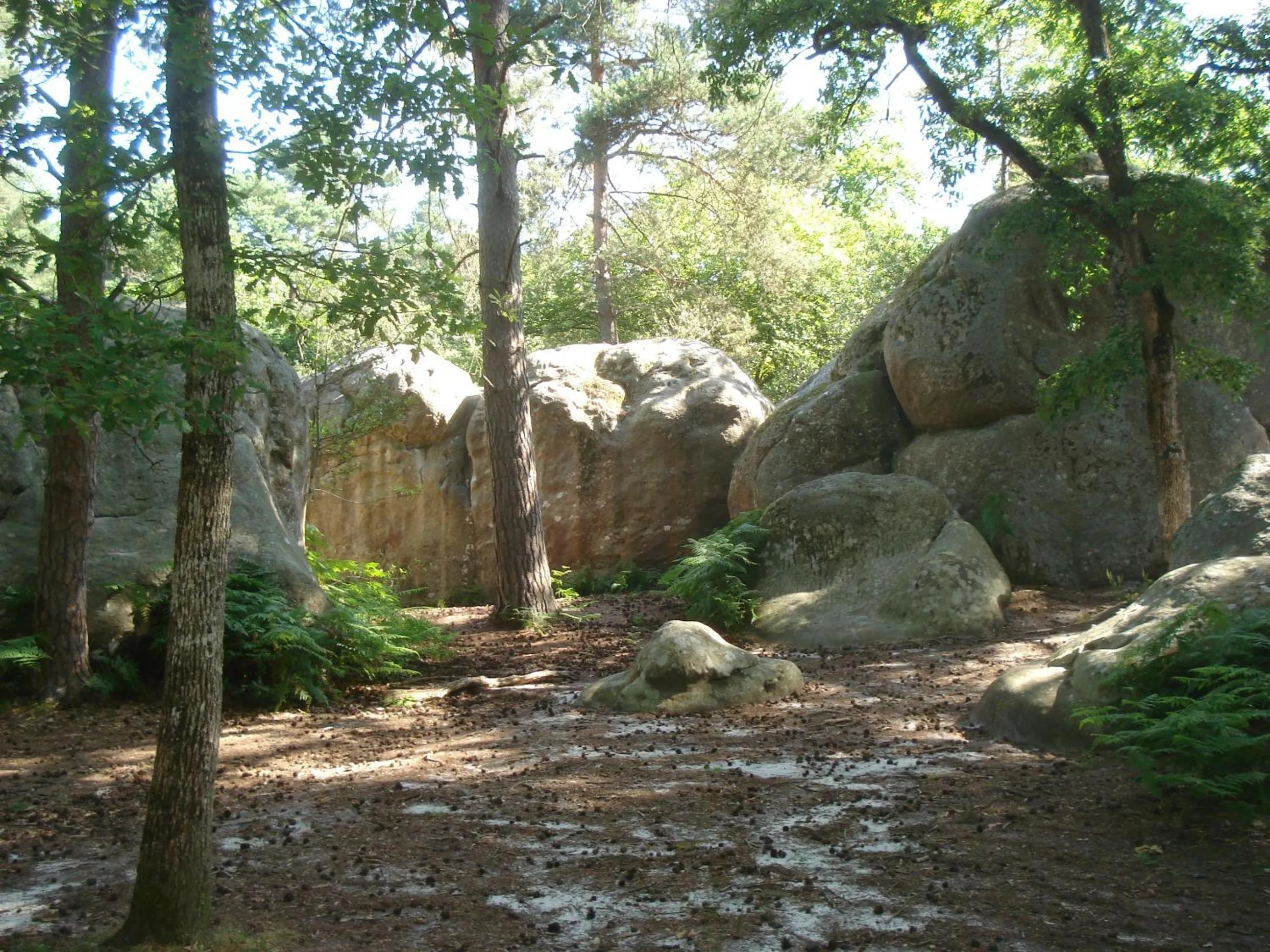 Nearby landmark in Les Prémices De La Forêt