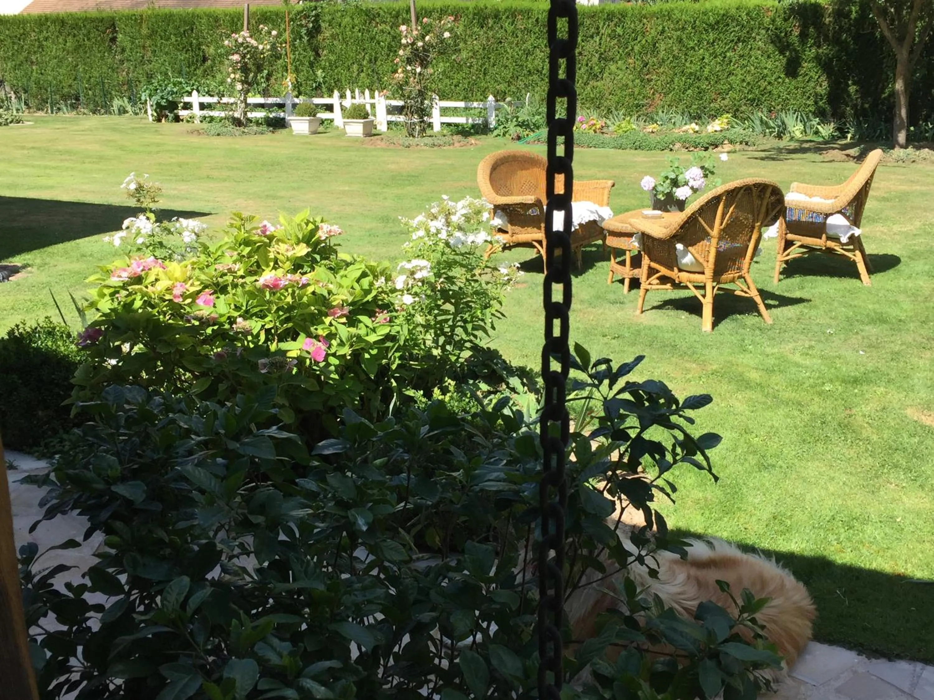 Garden view in Les Prémices De La Forêt