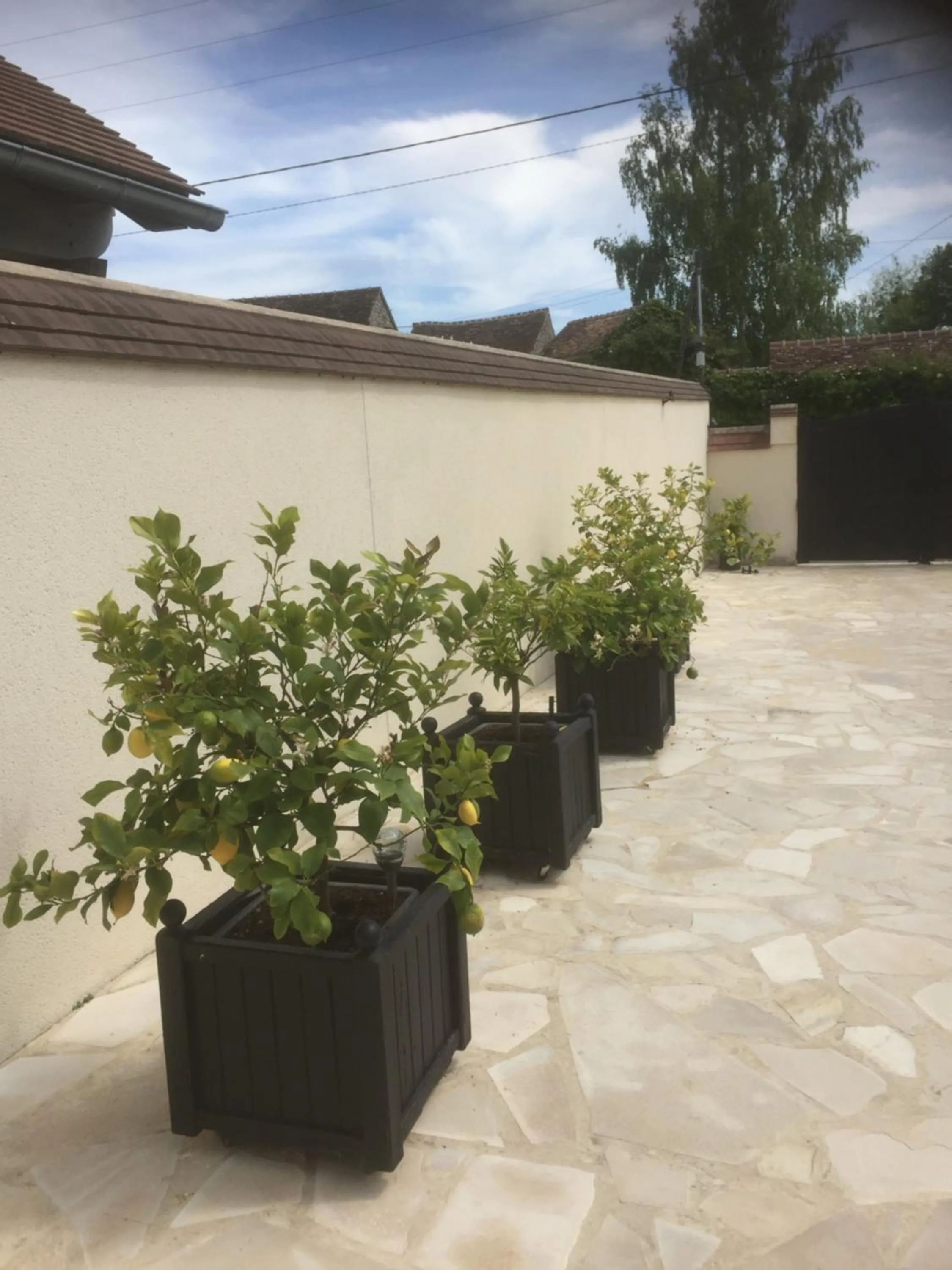 Decorative detail in Les Prémices De La Forêt