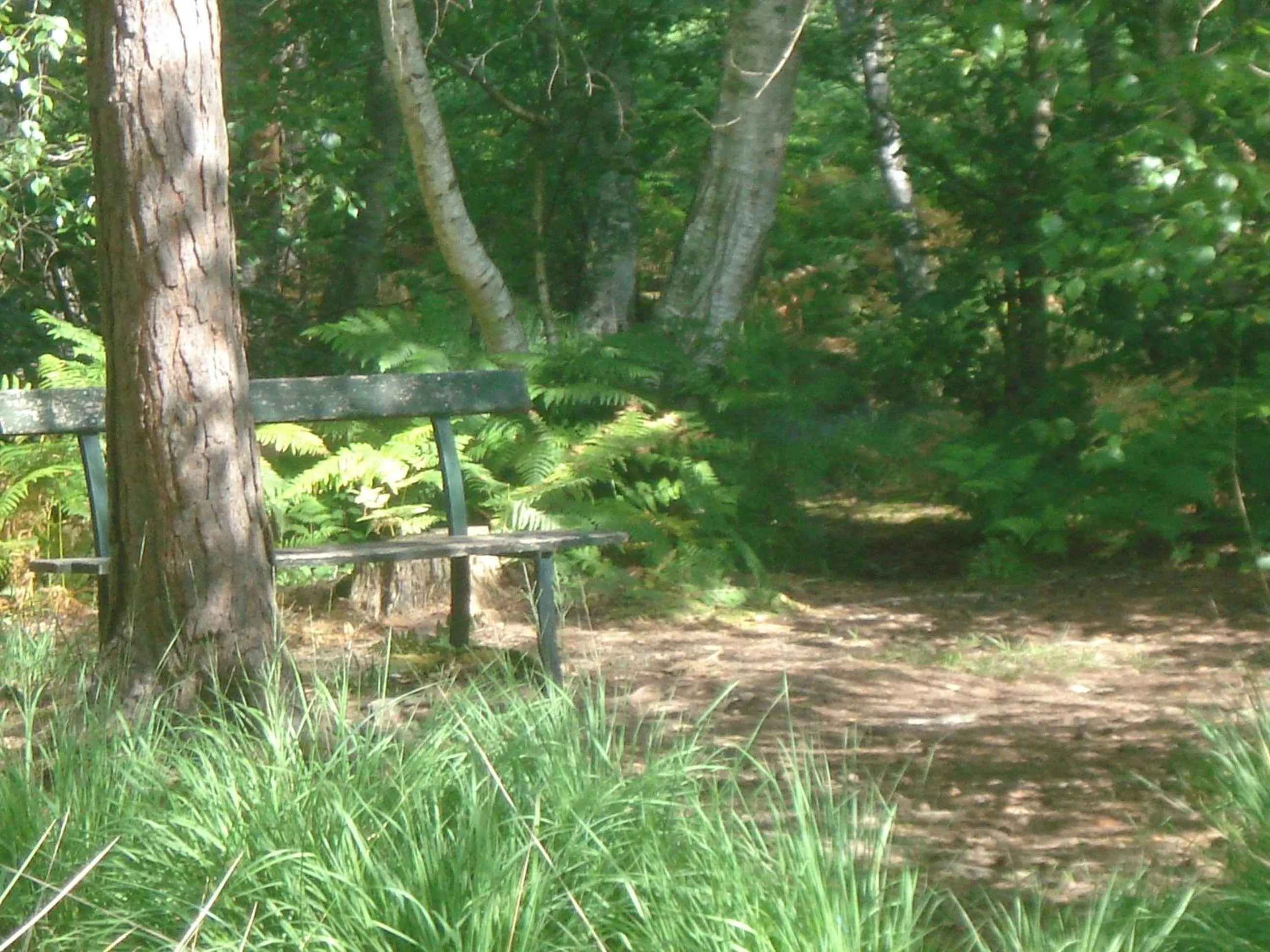 Nearby landmark in Les Prémices De La Forêt