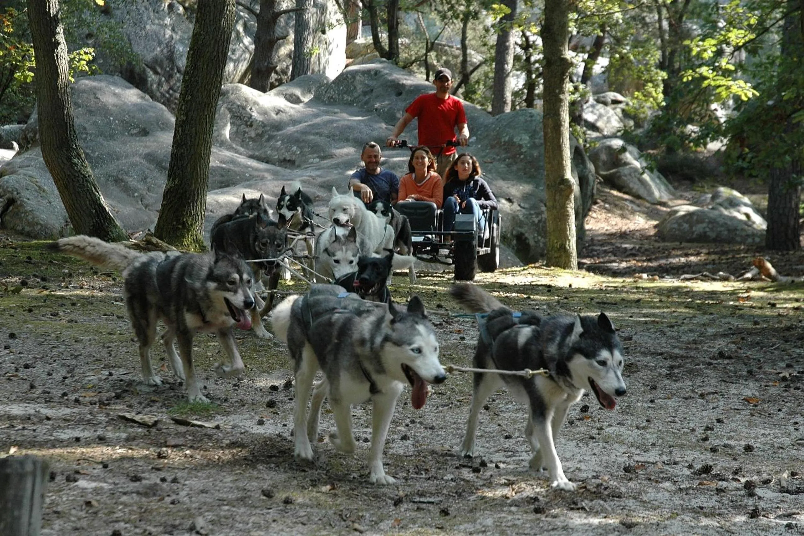 Entertainment in Les Prémices De La Forêt