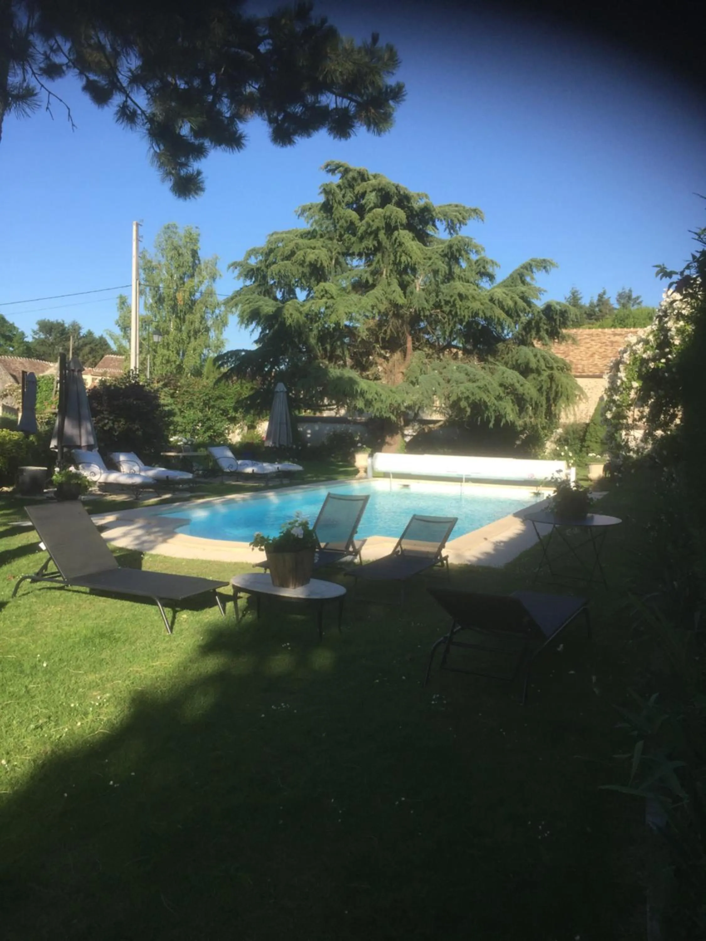 Pool view in Les Prémices De La Forêt