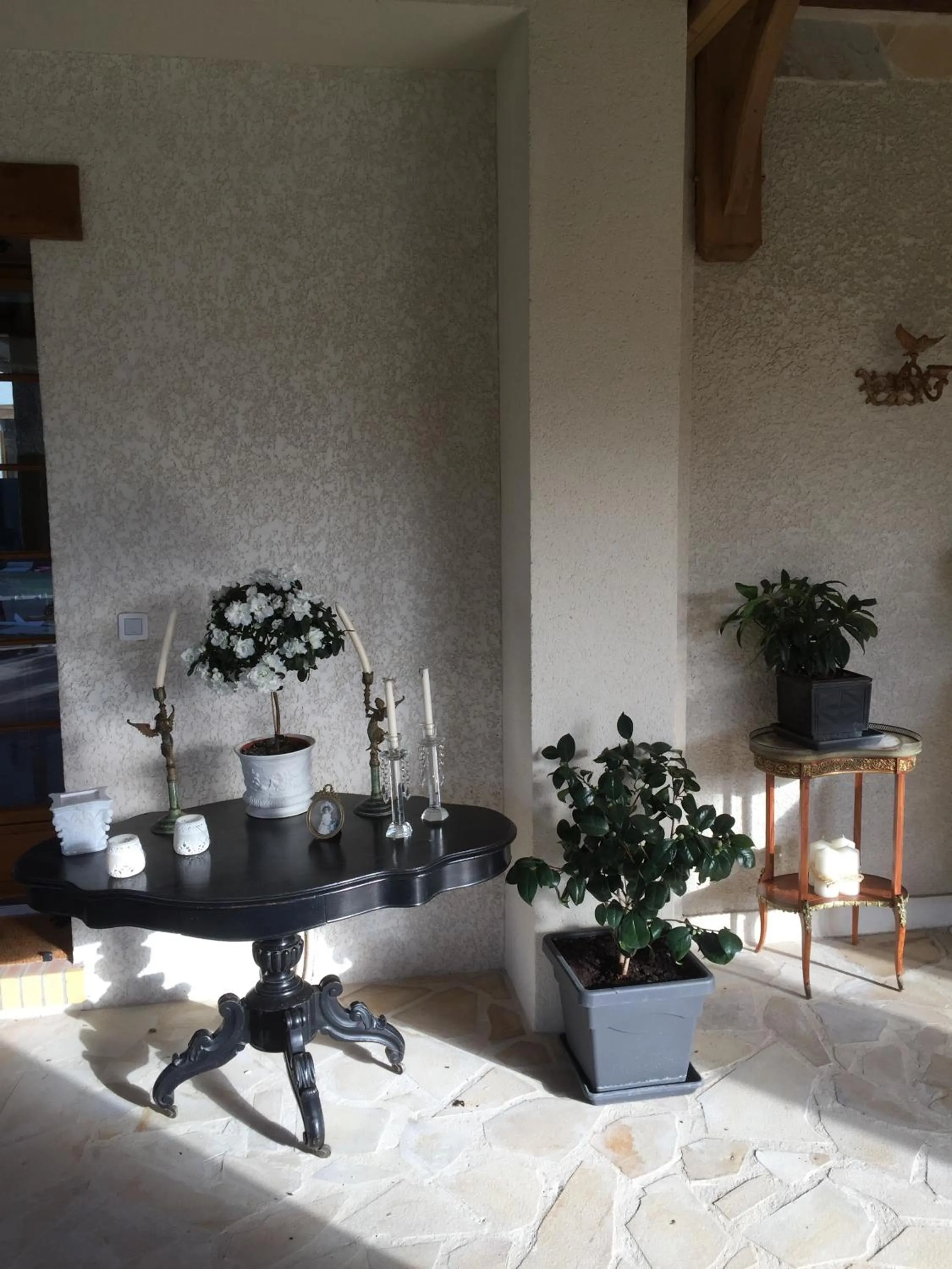 Patio in Les Prémices De La Forêt