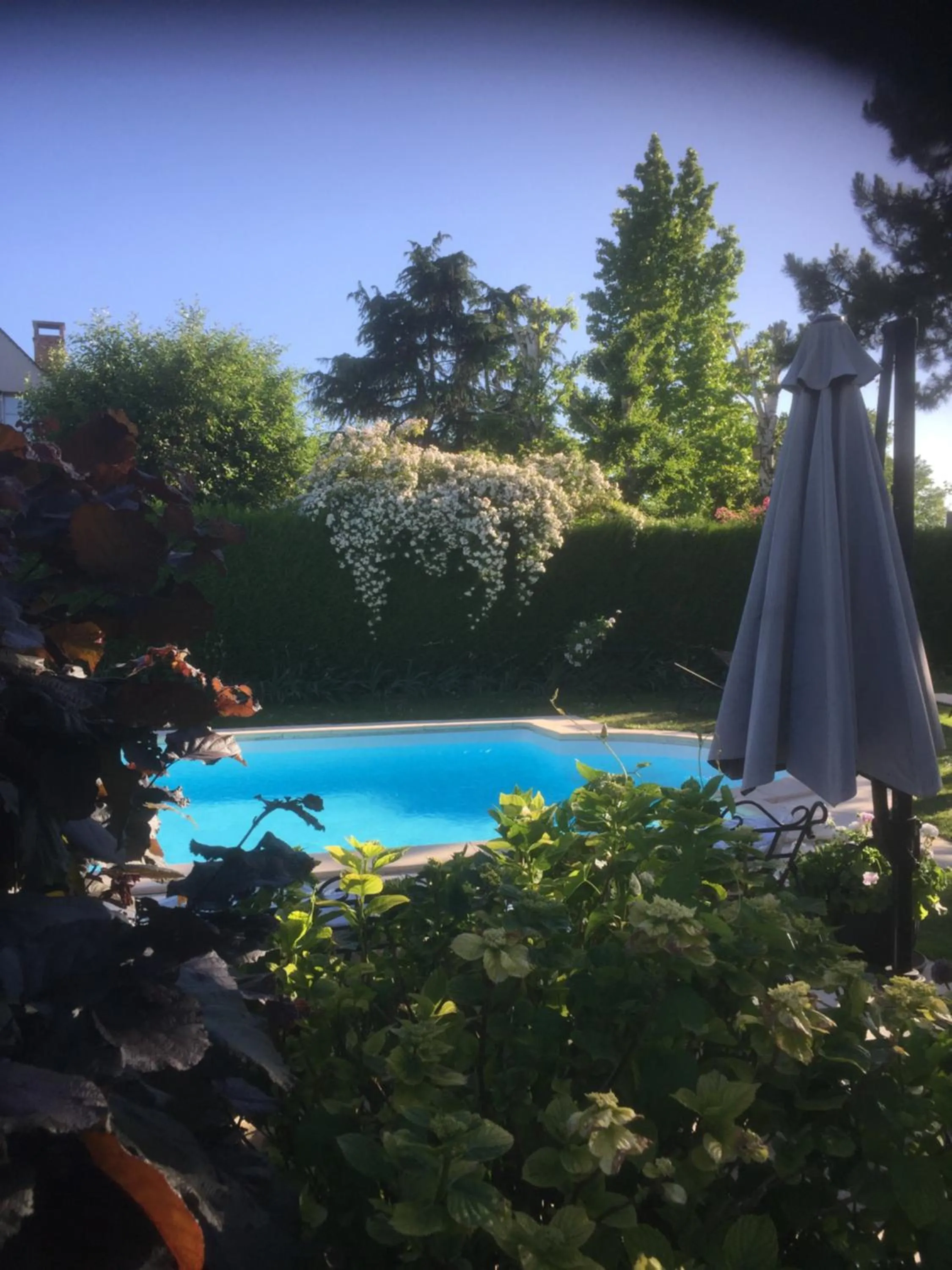 Swimming pool in Les Prémices De La Forêt