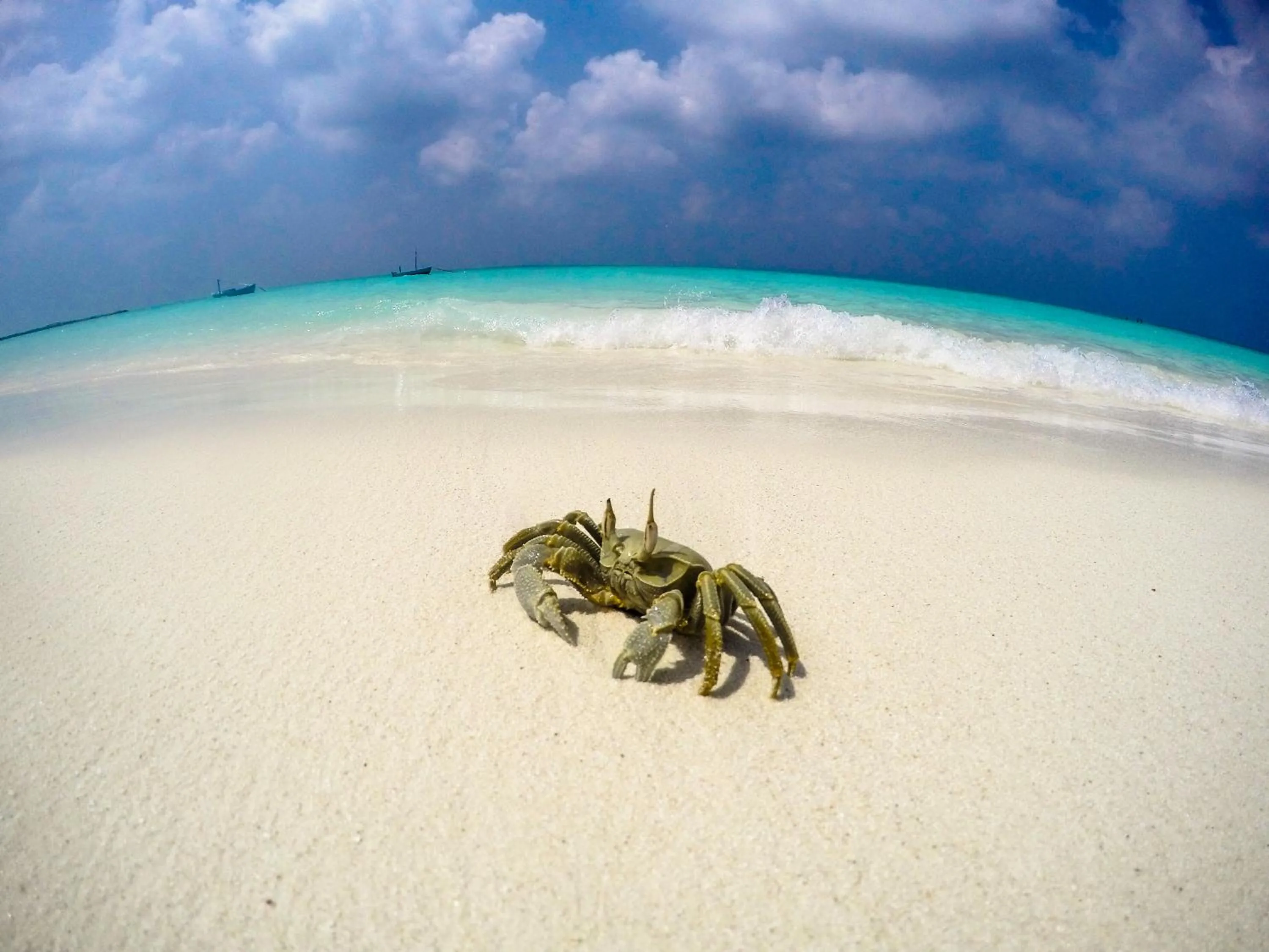 Off site in Cerulean View Residence