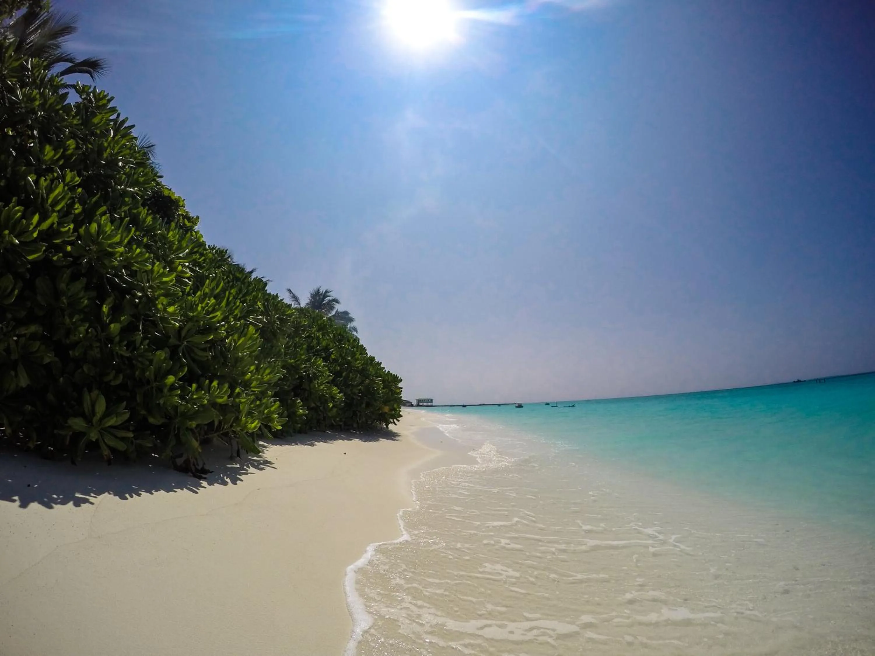 Day in Cerulean View Residence