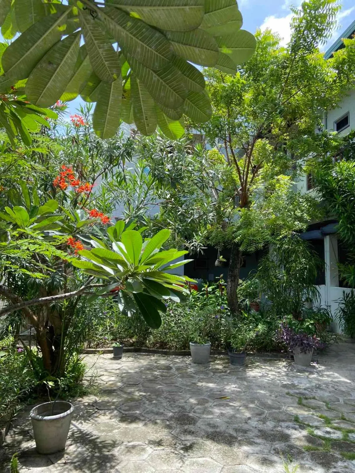 Garden in Cerulean View Residence