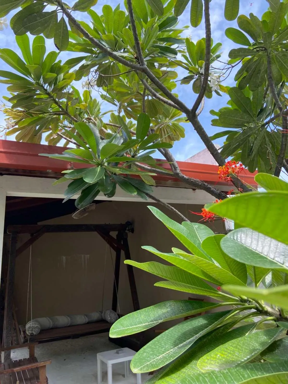 Garden in Cerulean View Residence