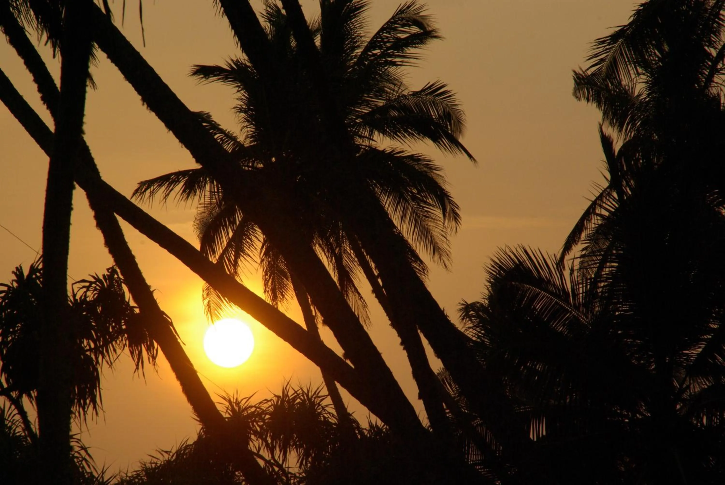 Sunset in Lanka Beach Boutique Bungalows & Grand Villa