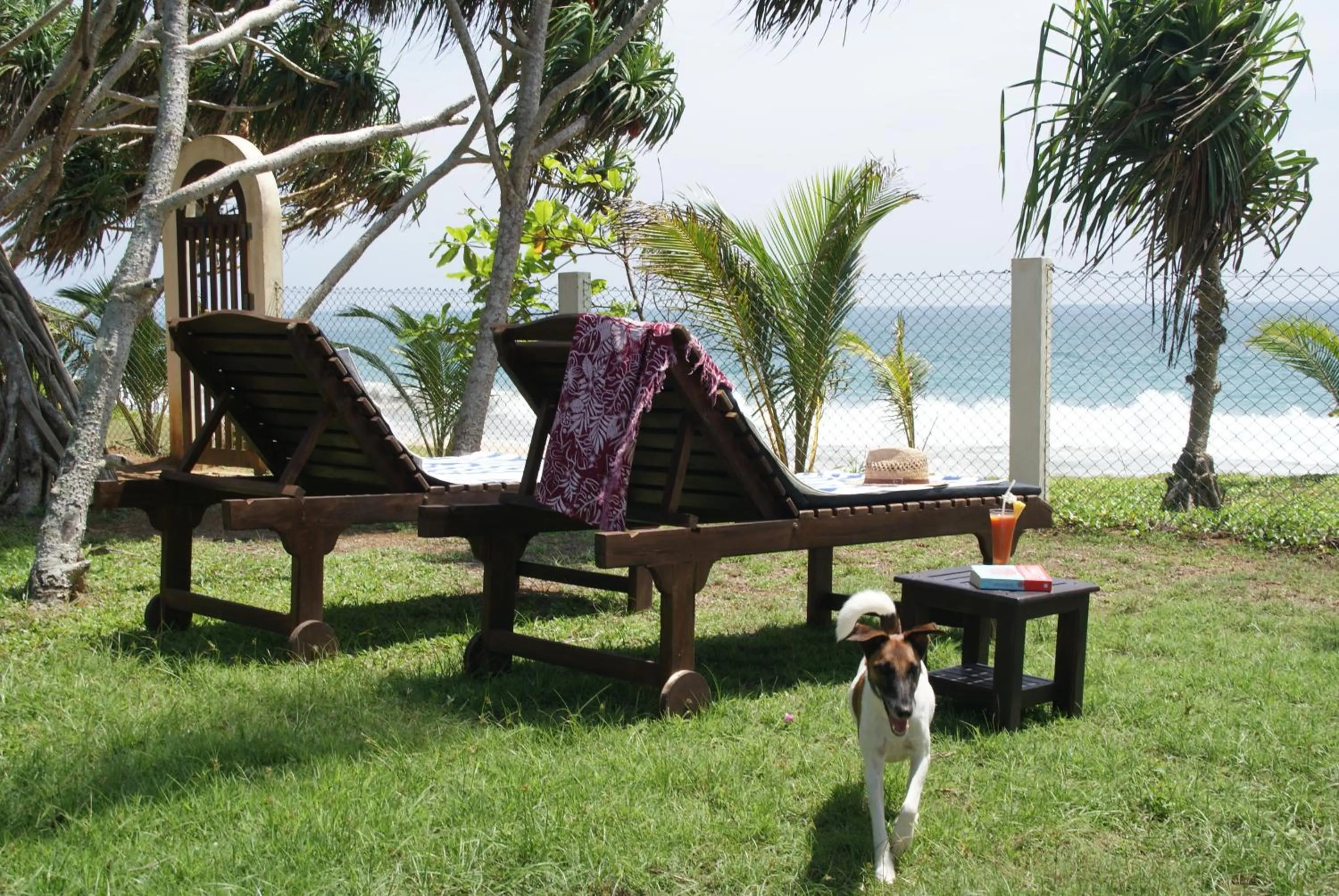 Pets in Lanka Beach Boutique Bungalows & Grand Villa