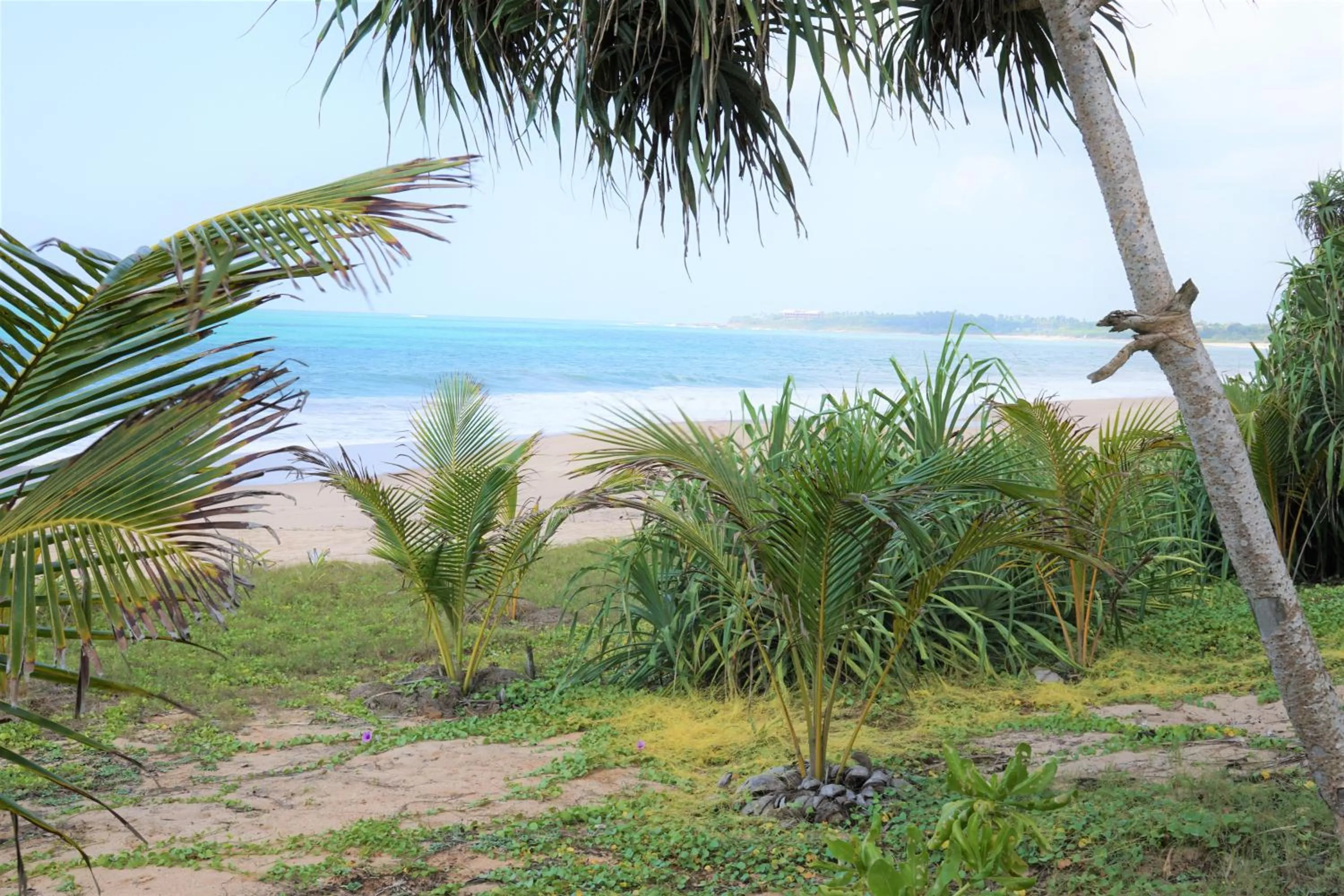 Lanka Beach Boutique Bungalows & Grand Villa