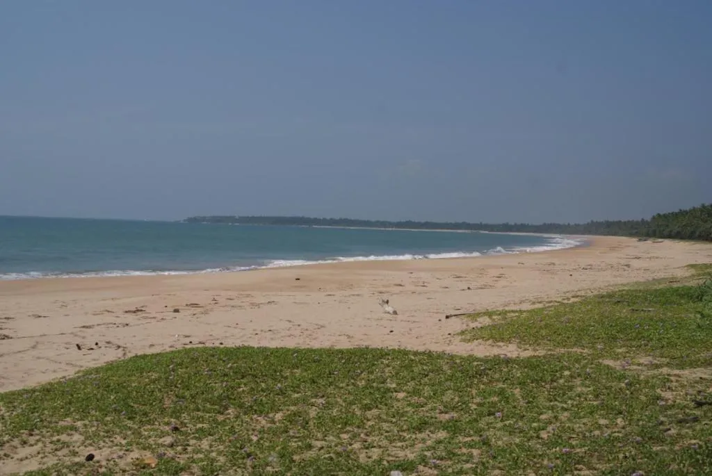 Lanka Beach Boutique Bungalows & Grand Villa