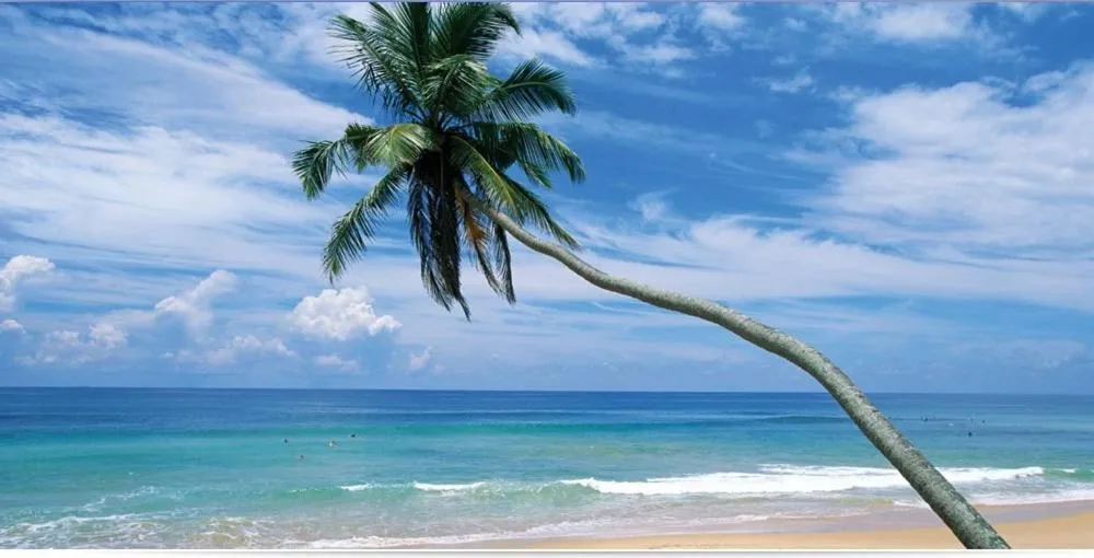 Lanka Beach Boutique Bungalows & Grand Villa