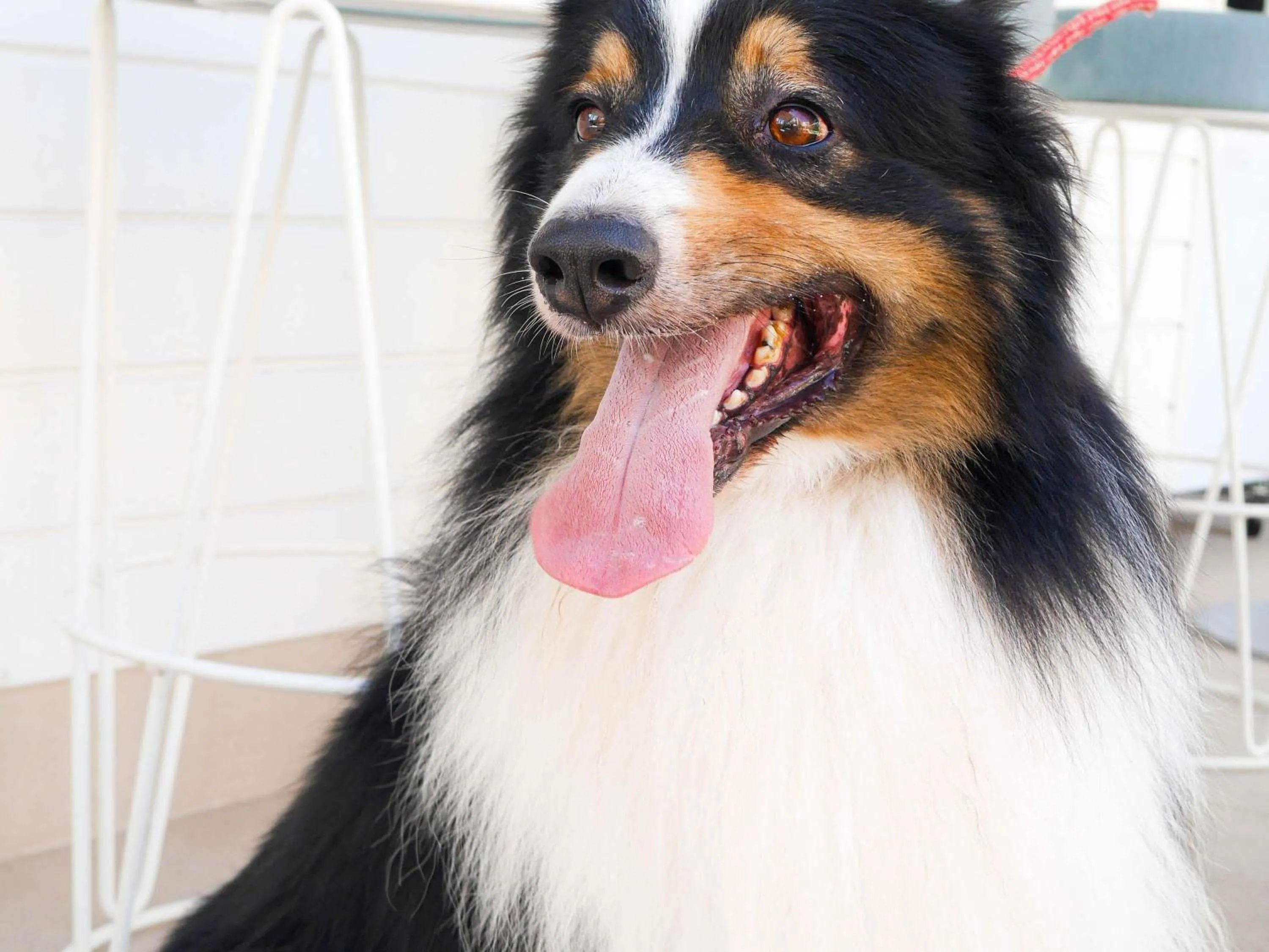 Other in Novotel Monte-Carlo