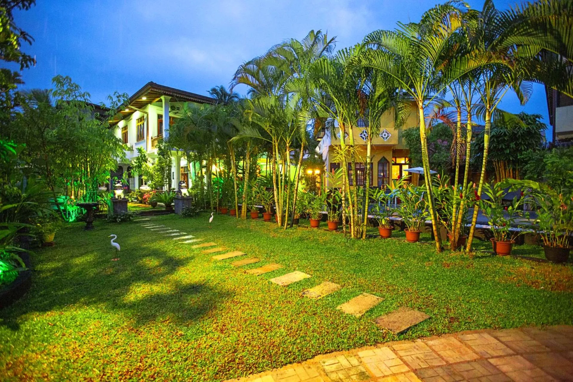 Natural landscape in Arcadia Resort