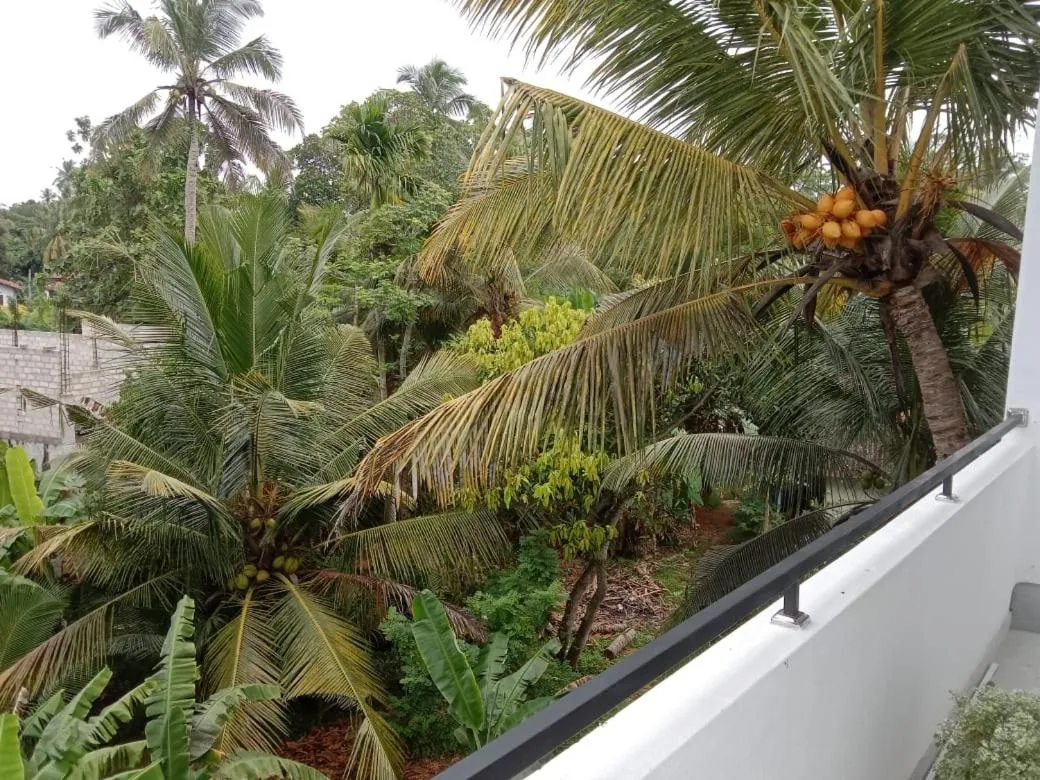 View (from property/room) in Arcadia Resort