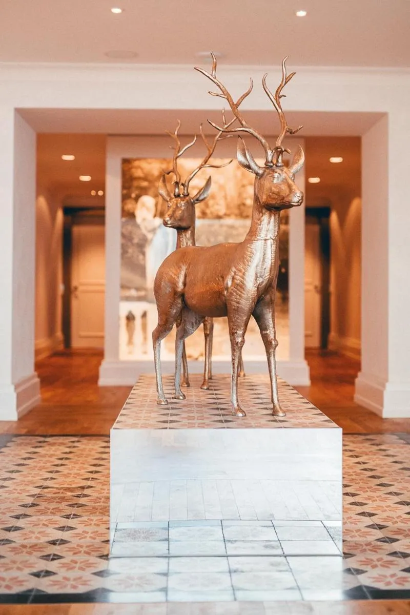 Lobby or reception in LA MAISON hotel & spa