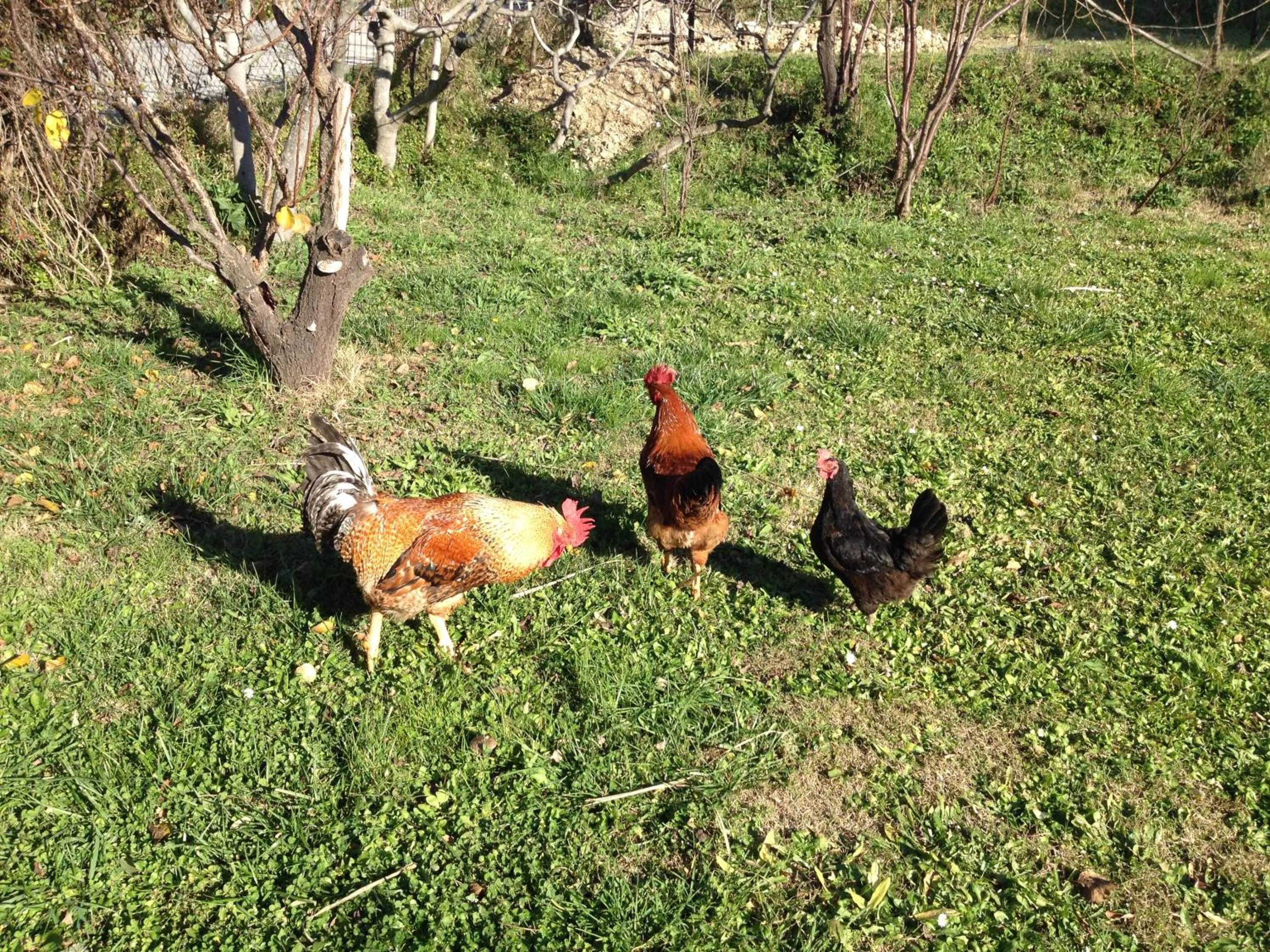 Day in Via col Vento