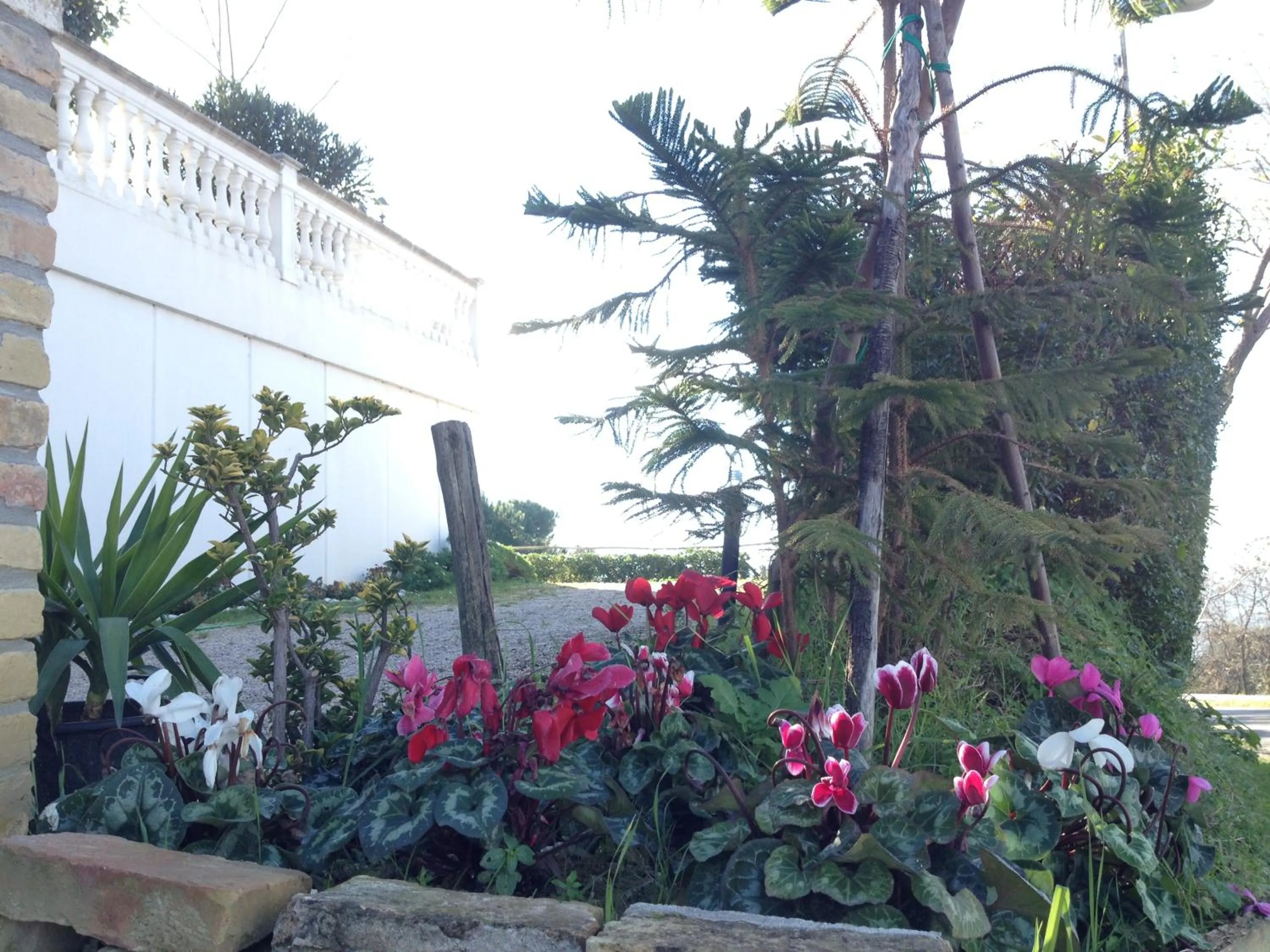 Property building in Via col Vento