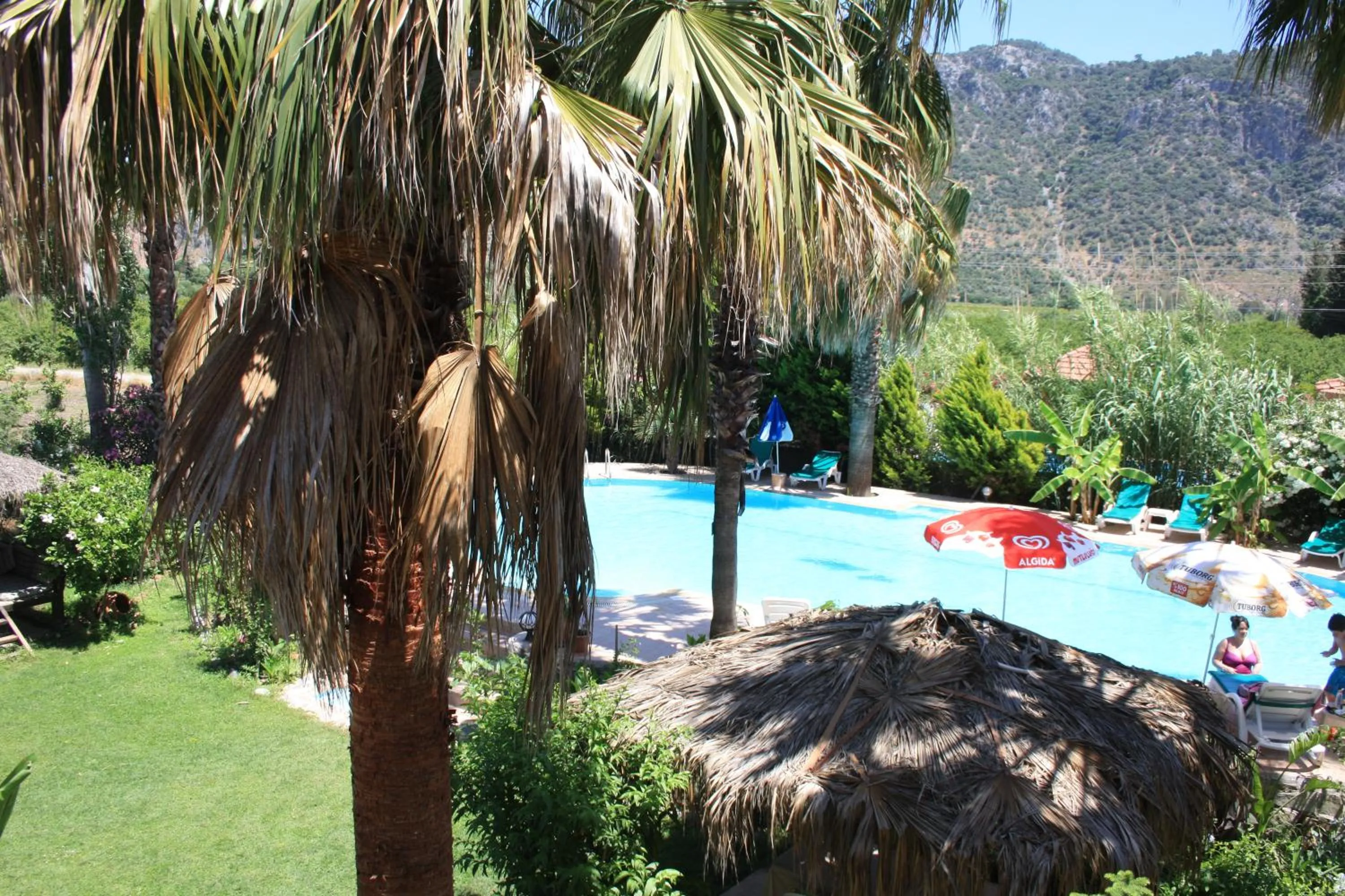 Garden view in Dalyan Garden Pension