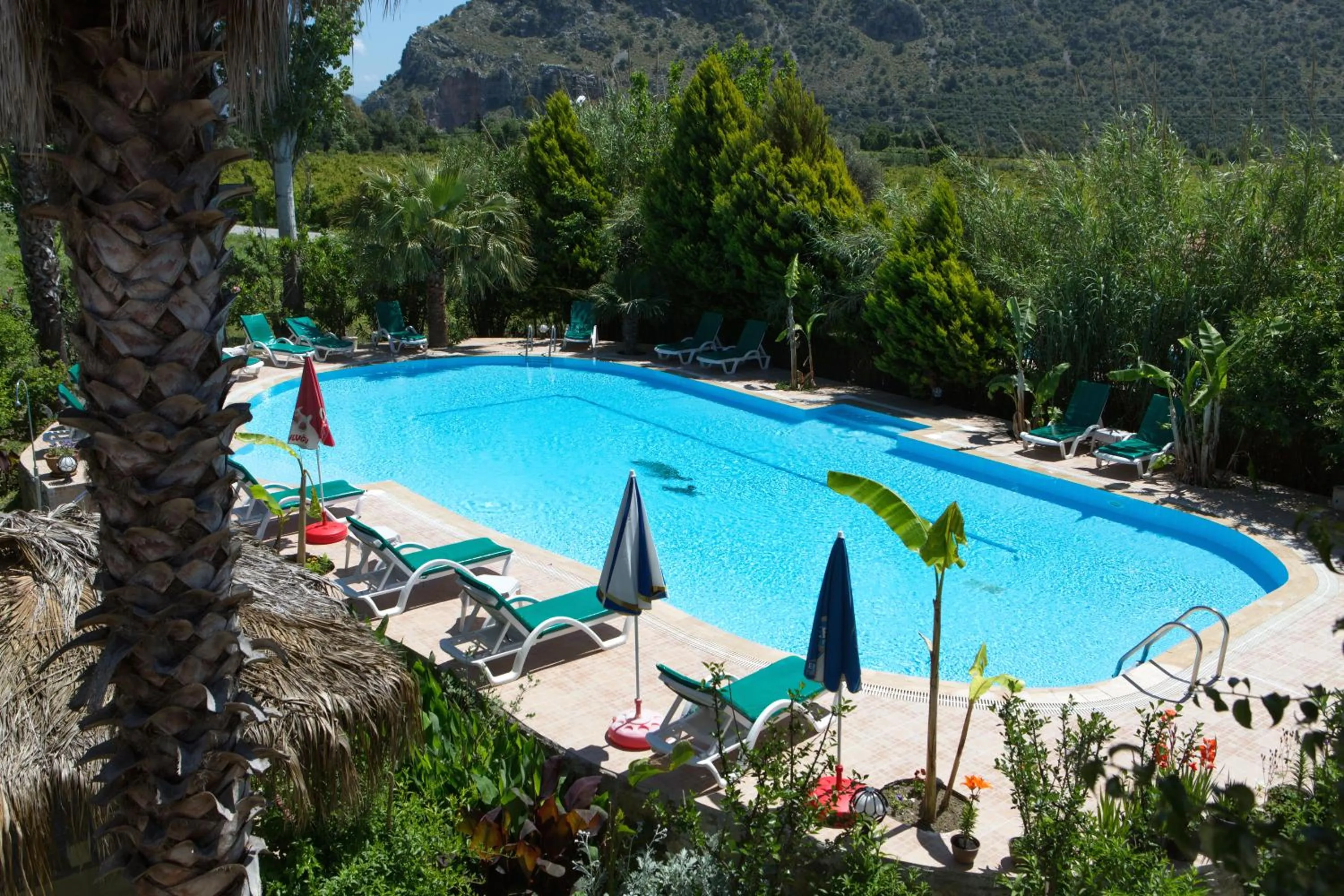 Pool view in Dalyan Garden Pension